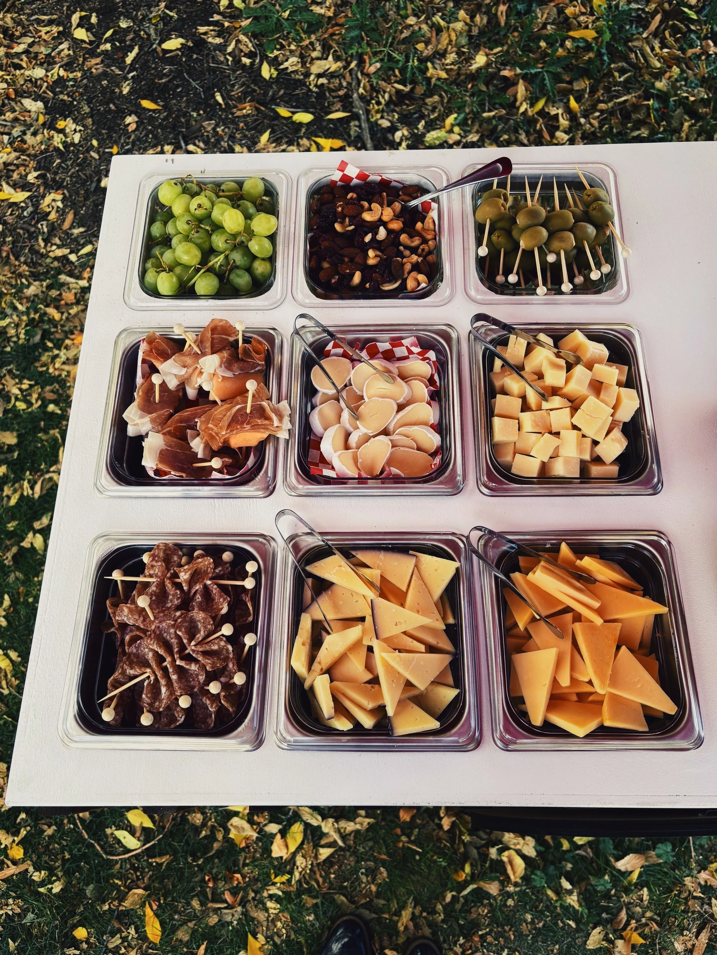 A white table with nine compartments of assorted cheeses, nuts, fruits, and charcuterie items, outdoors on grass with fallen leaves.