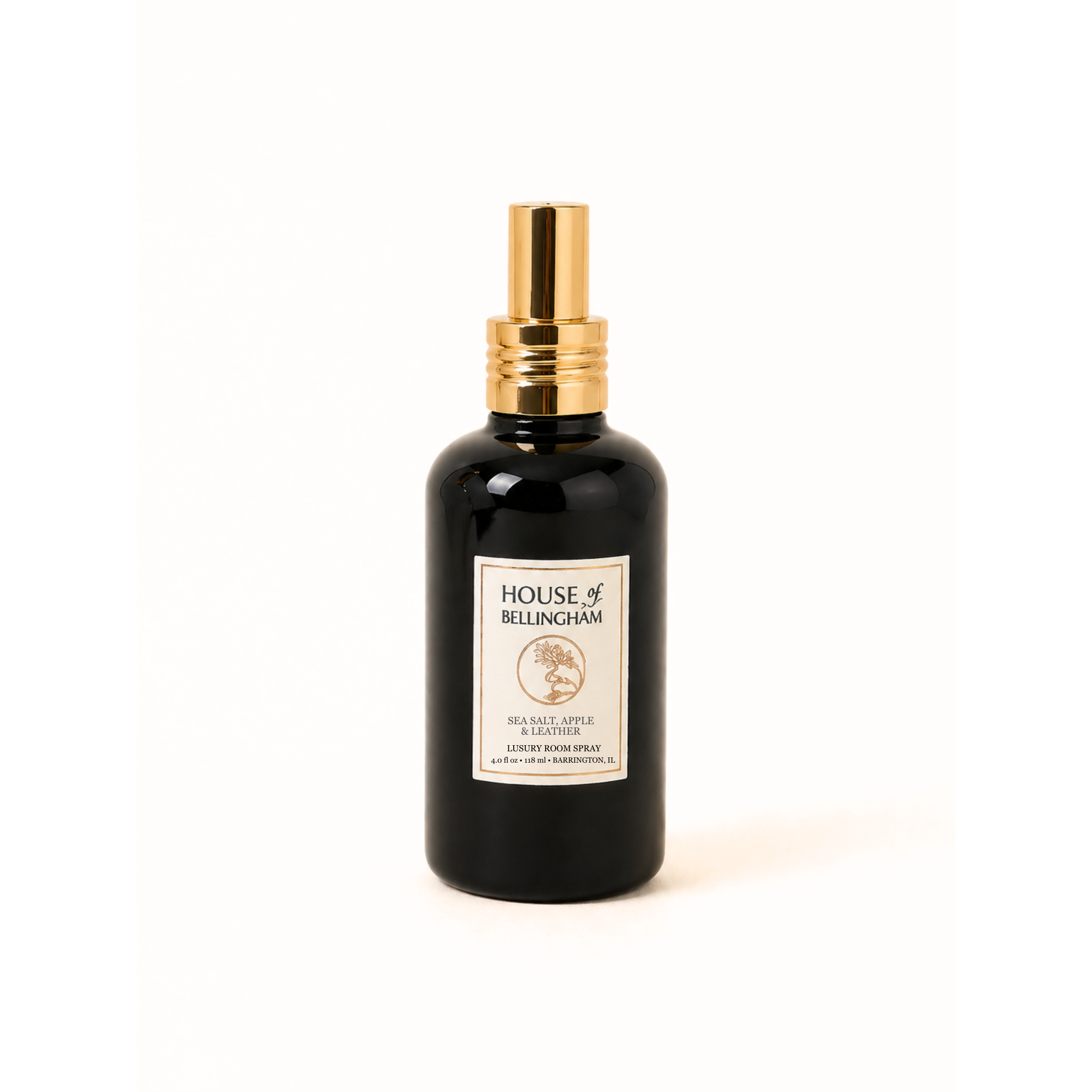 Room Spray - Sea Salt, Apple & Leather - black.png