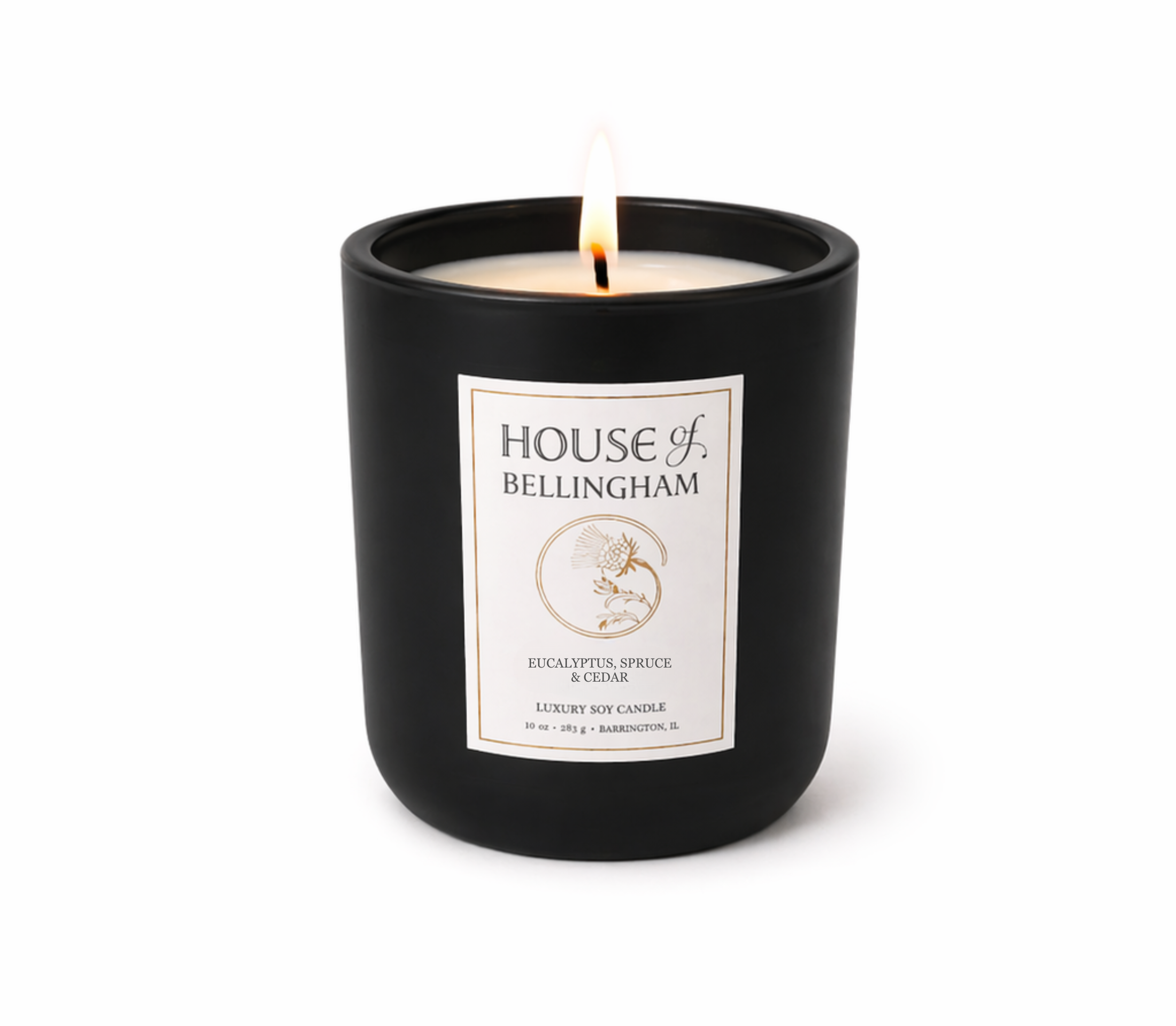 Candle+-+Eucalyptus%2C+Spruce+%26+Cedar+-+10+oz+black.png