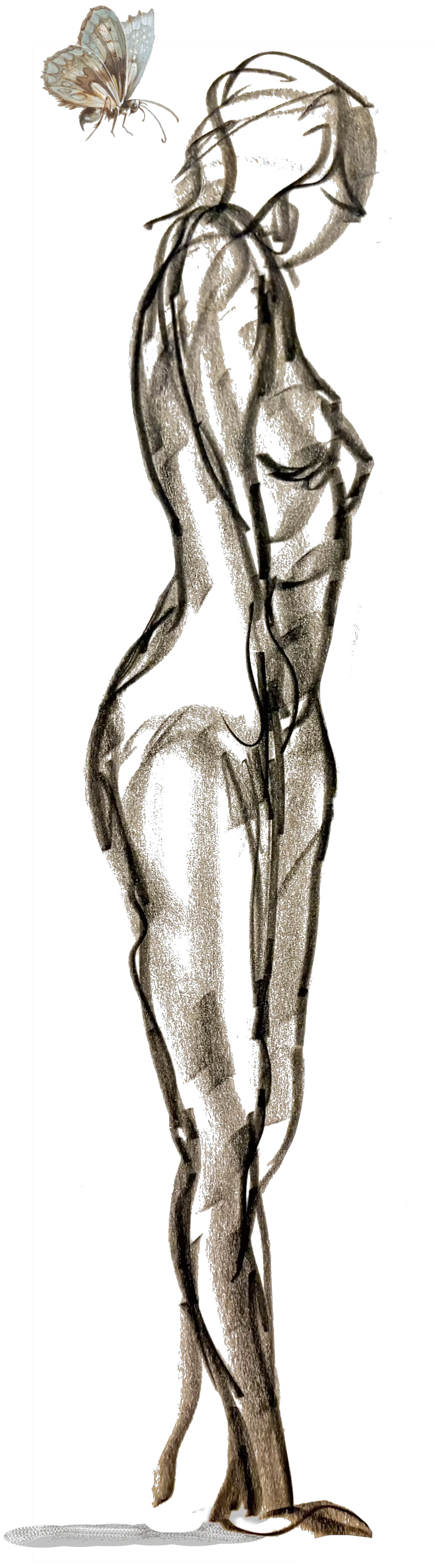 Gestural drawing of a woman standing and looking over her shoulder, with the archival drawing of a butterfly behind her.