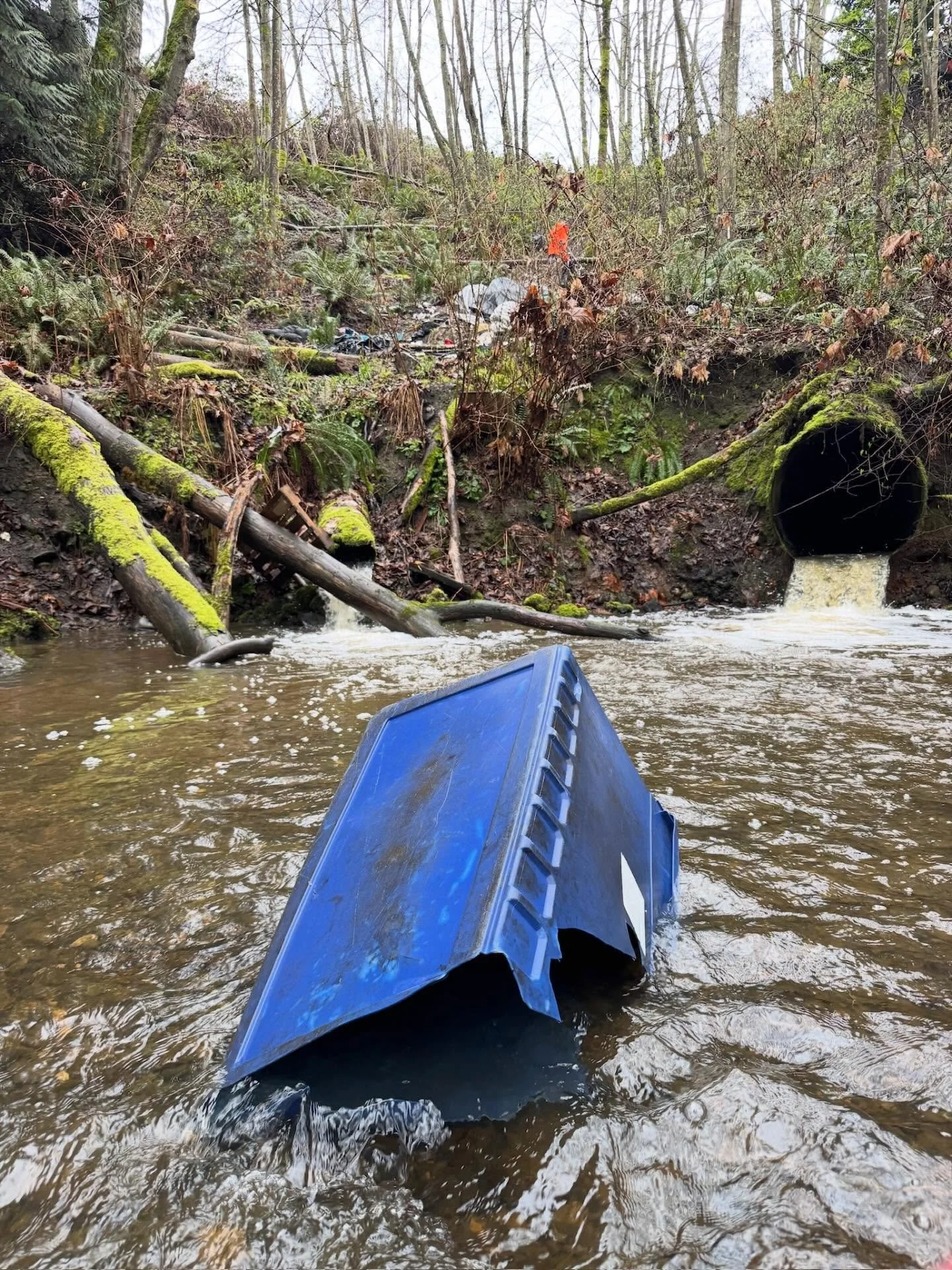 Why week after week? 

Our love for PA runs deep. That&rsquo;s why💚 

We also feel a practical resolution to these problems is possible, so now&rsquo;s the time to dig even deeper and make sure we see them through.