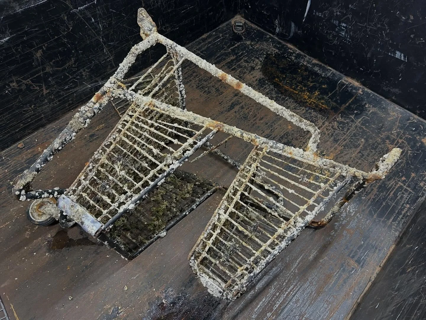 Retrieved a shopping cart from Davy Jones&rsquo; locker. From the smell of it, it&rsquo;s been there a while😵&zwj;💫