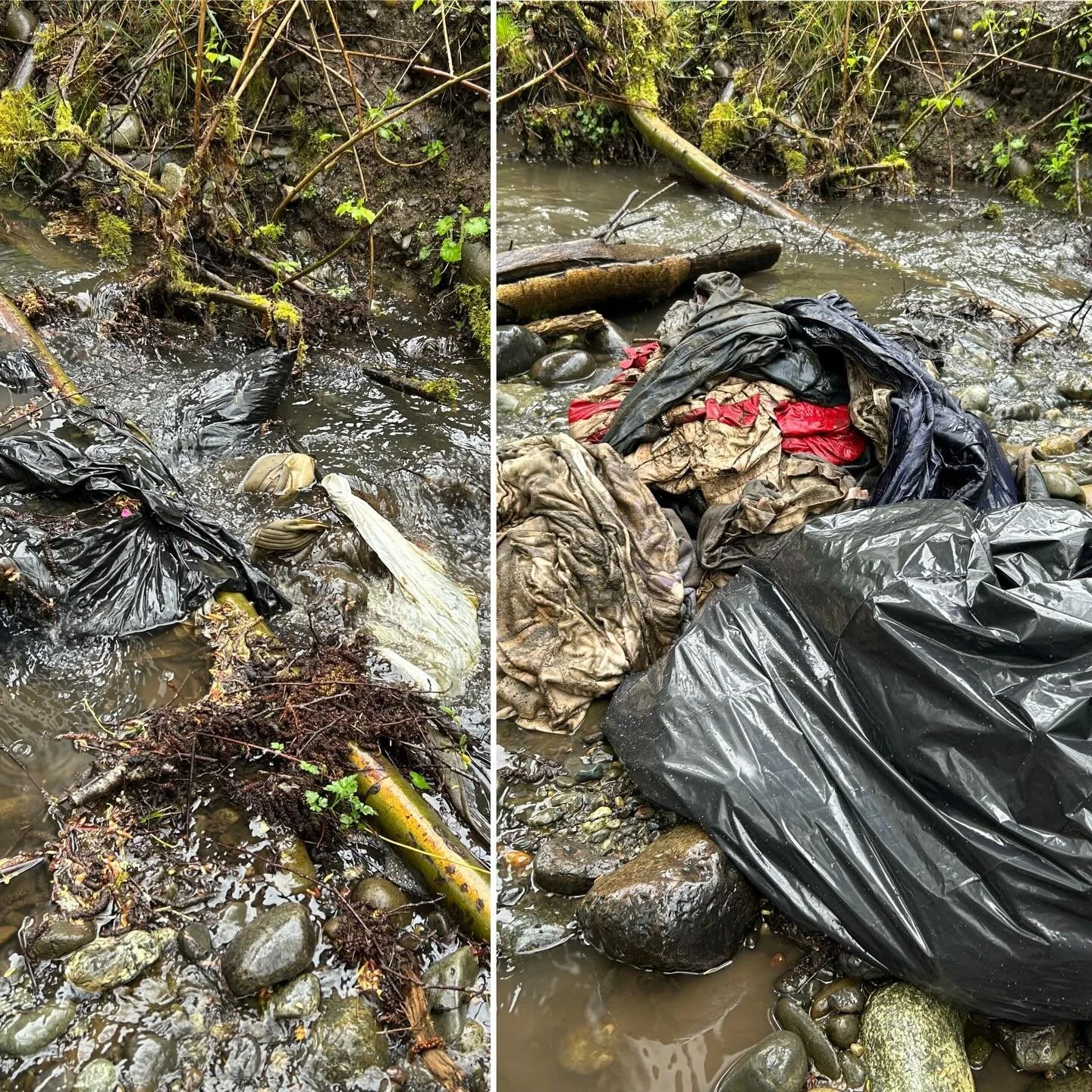That pile of clothing? It all came out of a single black bag submerged in the creek.

We share photos like this because we want people to understand what this work actually looks like &mdash; and we get a lot of questions about our practices. Fair en