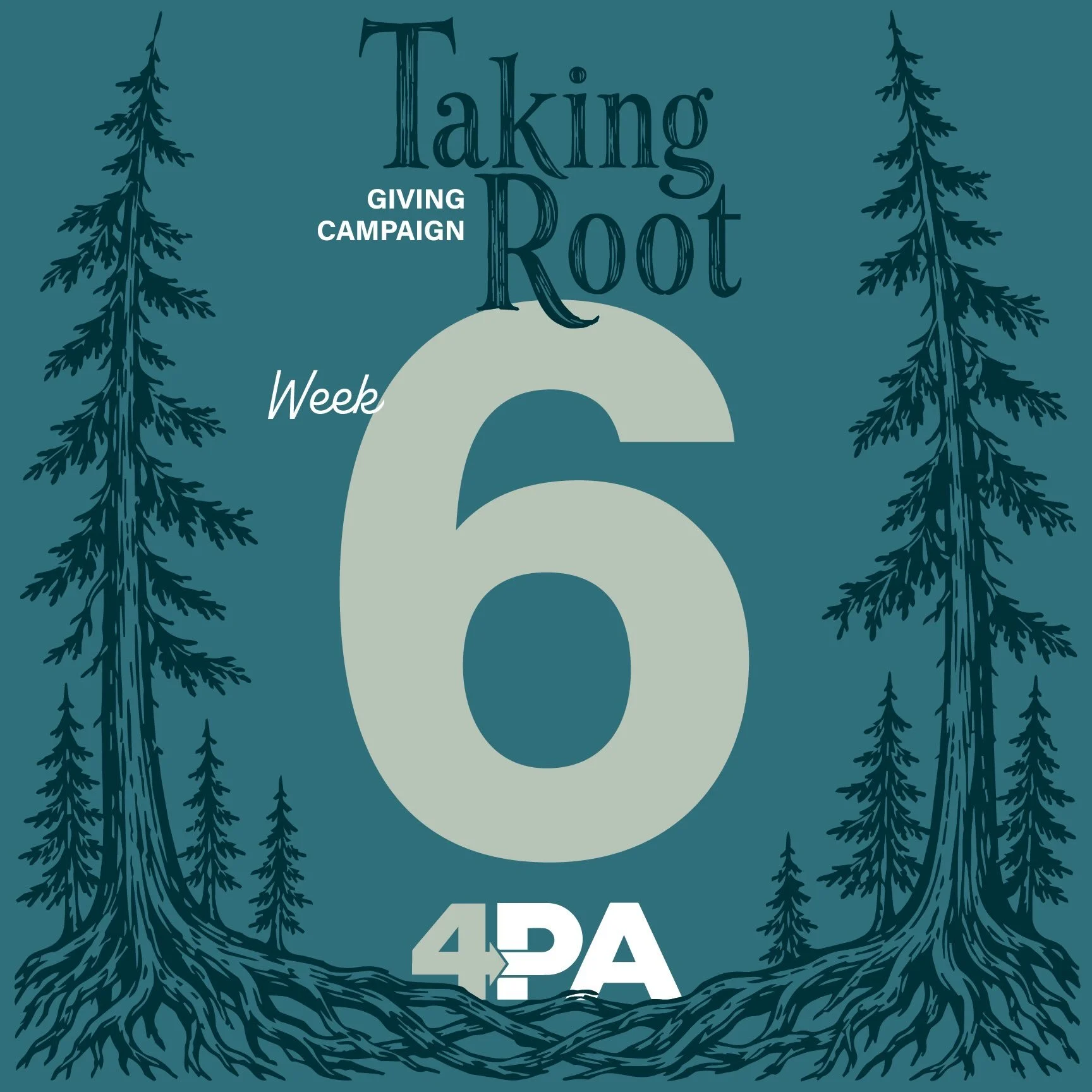 Congratulations to our WEEK 6 &ldquo;Taking Root&rdquo; giveaway winner Sandy &amp; Nick L.👏

They will bring home some nice 4PA gear and also be entered to win one of our open house giveaways on August 29th. 

These include: an amazing room &amp; g