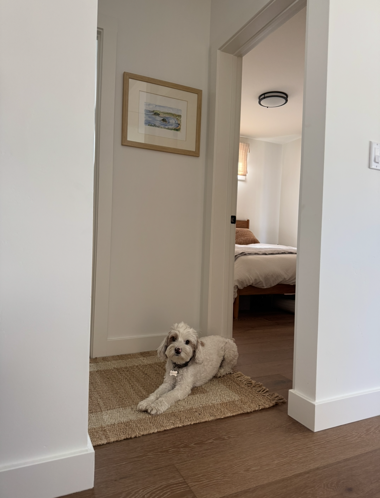 A small white and gray puppy lying on a tan rug in a hallway, with a bedroom visible through an open door in the background.