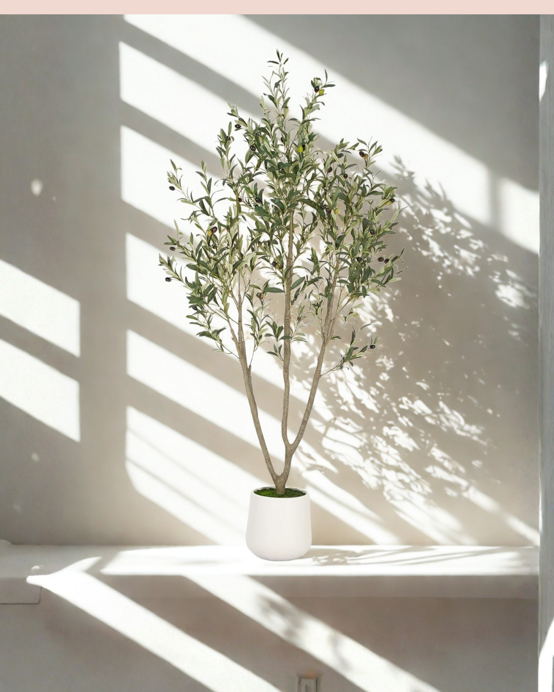 Olive Trees Artificial Indoor, 6FT Tall Faux