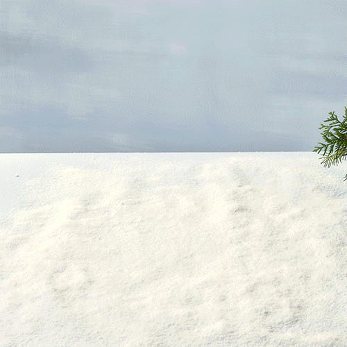 Snow-covered ground with a small green pine branch on the right side under a cloudy sky.
