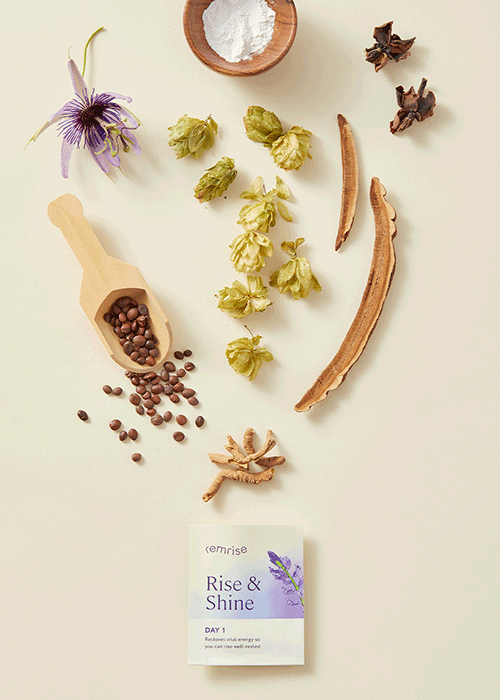 Flat lay of herbal ingredients including fresh hops, dried herbs, roots, seeds, a small bowl of white powder, and a box labeled "Rise & Shine" with "Day 1" on it, on a light background.