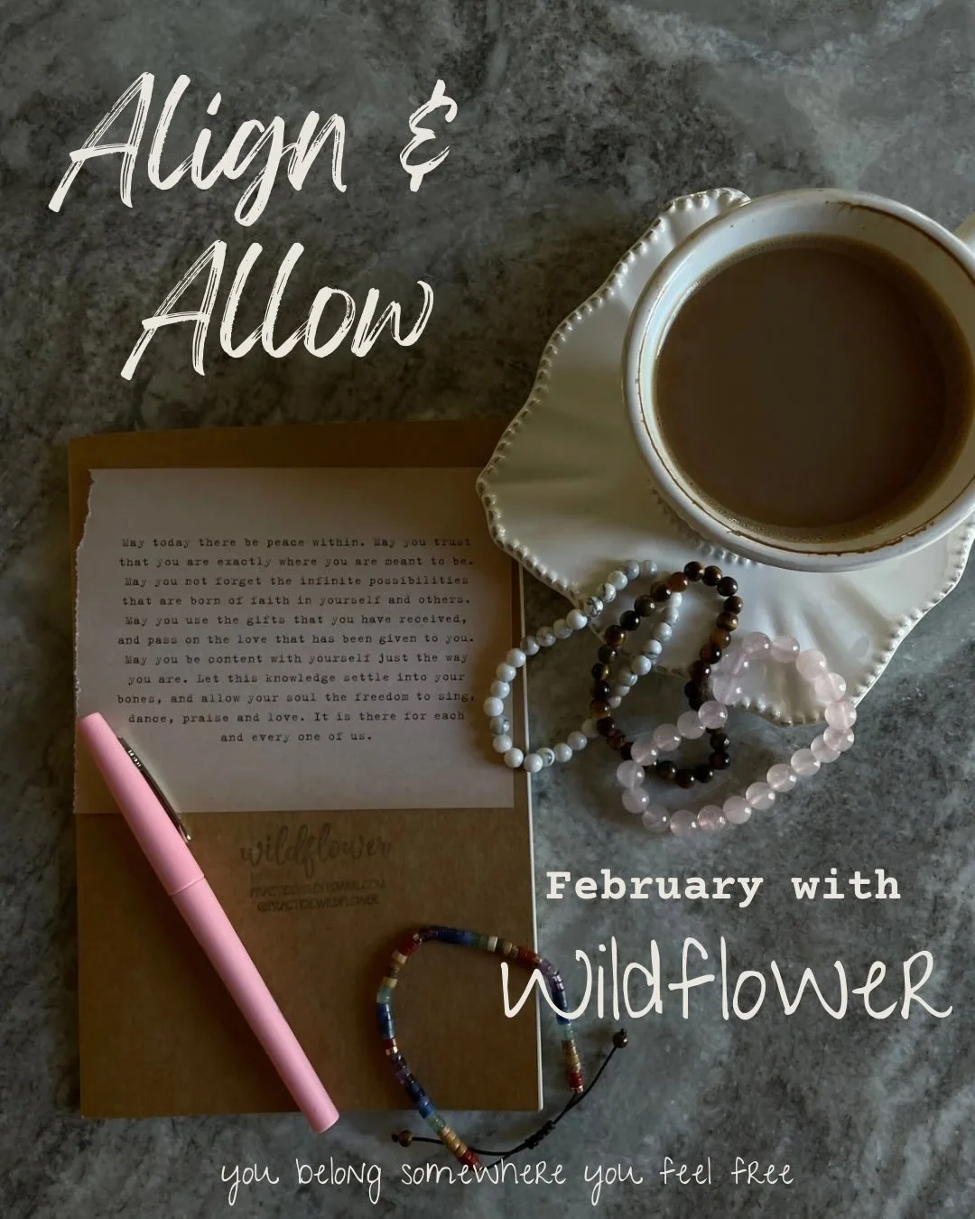 February Wildflower event is live! I am soooo excited about this one. 🌹

Cosmically, we have closed the door on the Year of the Snake. We have quietly (or perhaps loudly) resolved to let go of what is no longer allowed to consume our energy, our tim