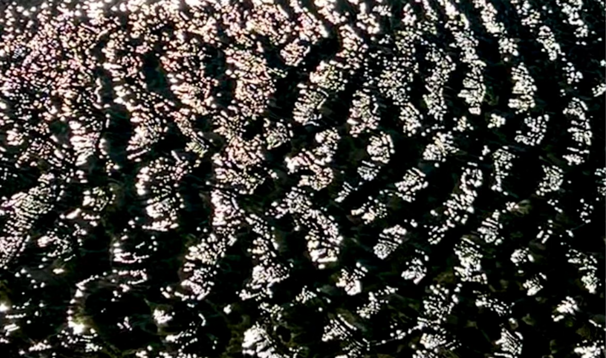 Screenshot 2025-09-12 at 9.20.19 AM.png