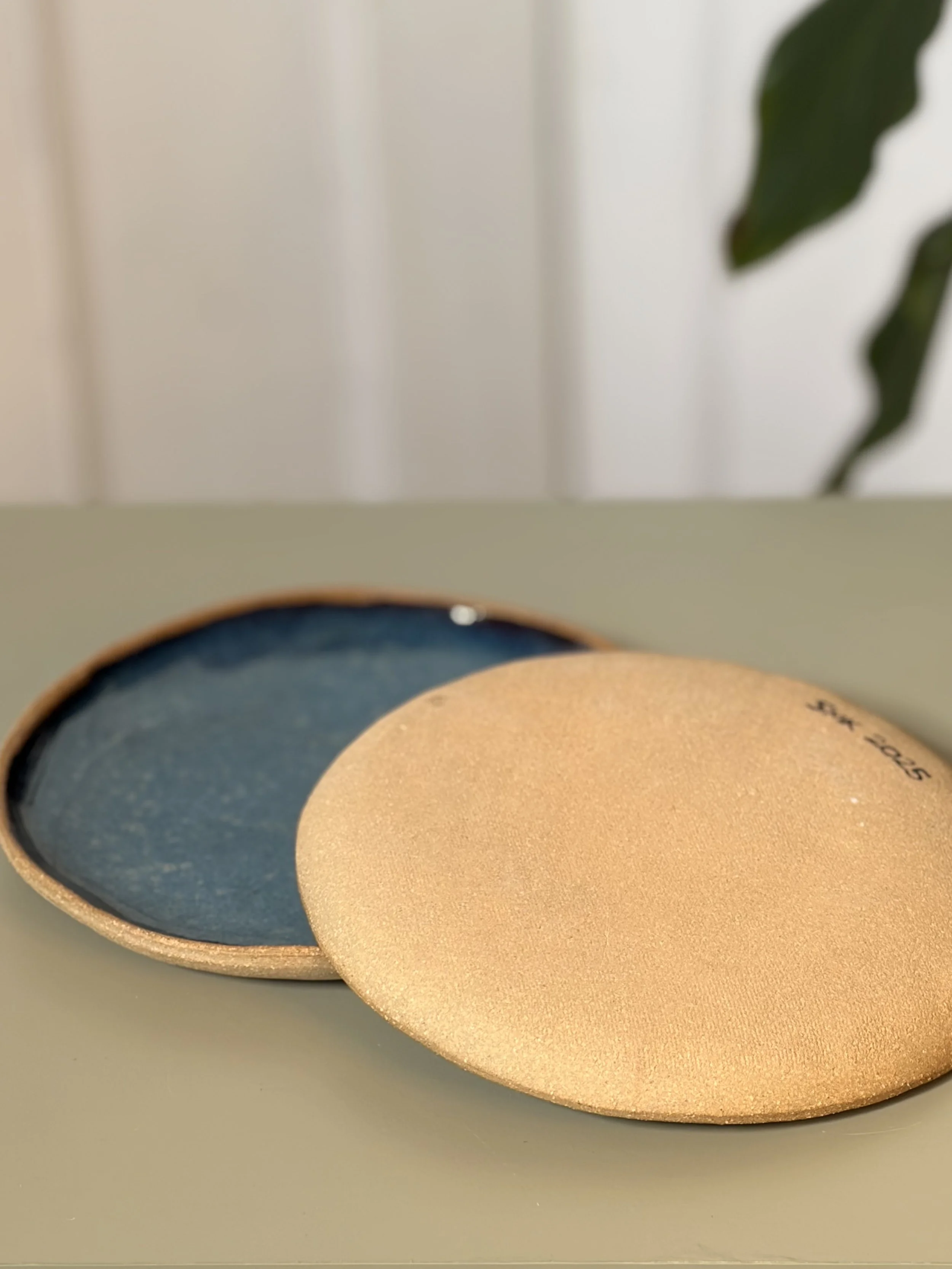 Blue Plates 5 .jpeg