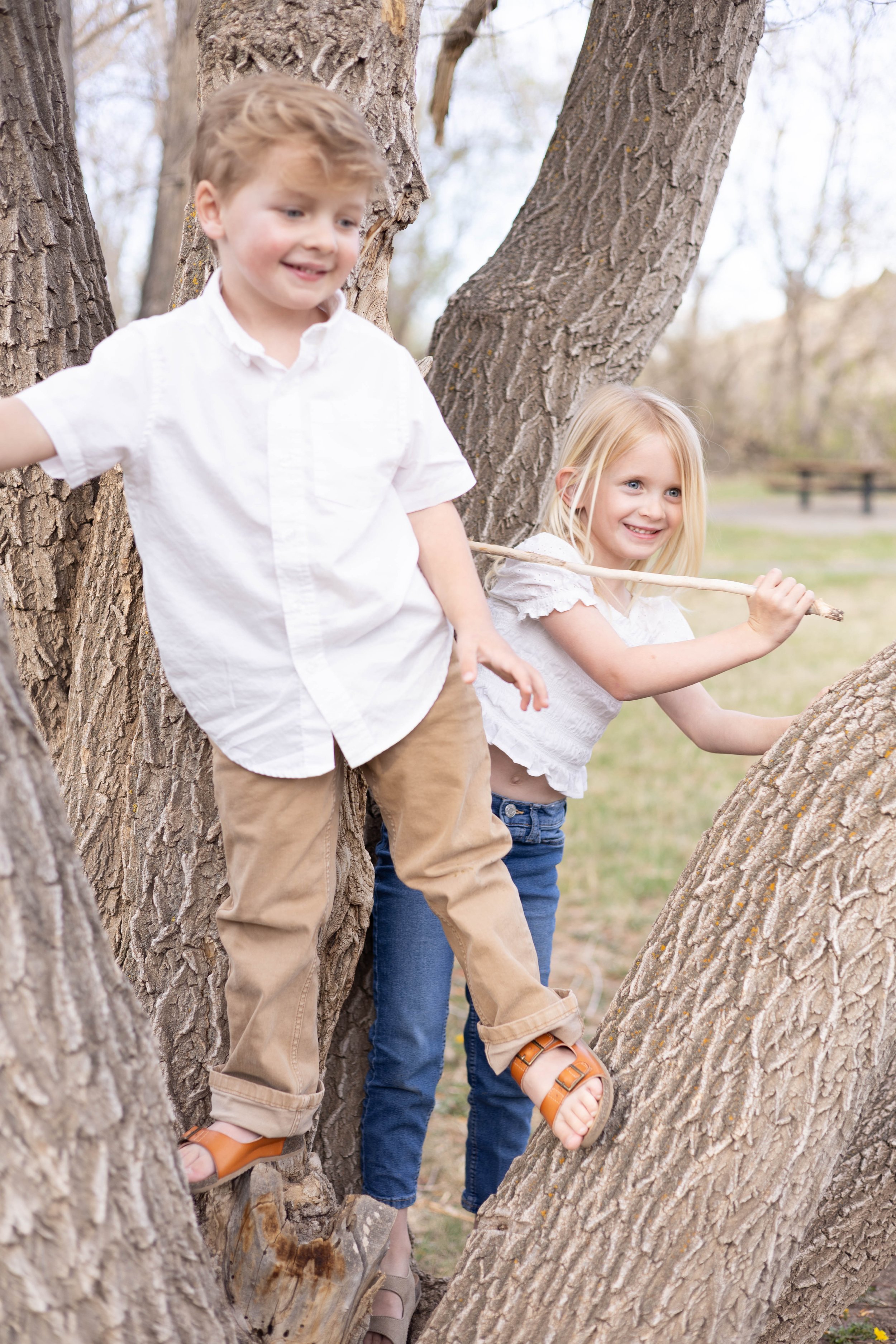 Family photo shoot