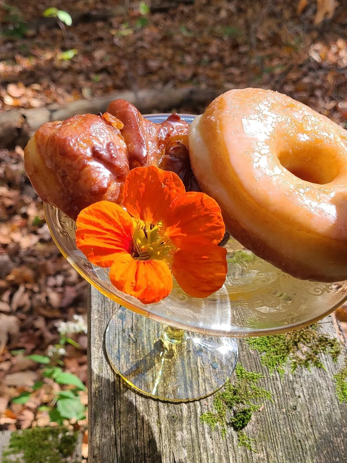 Our October menu has a little something for everyone! 🍂🍁 Handcrafted doughnuts with quality ingredients, sourced locally whenever possible. Plus vegan options!

Online orders close this Friday at noon. Be sure to claim your box for pickup on Sunday