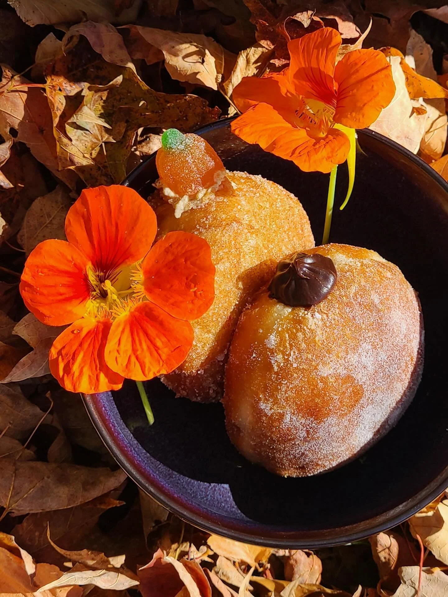 What better way to start a Sunday than with a good doughnut? Grab a box of 3 or 6 to share (or keep them all to yourself).

⏰ Online orders close tomorrow at noon, so make sure you get yours in!

Boxes will be available for pickup inside The Humble M