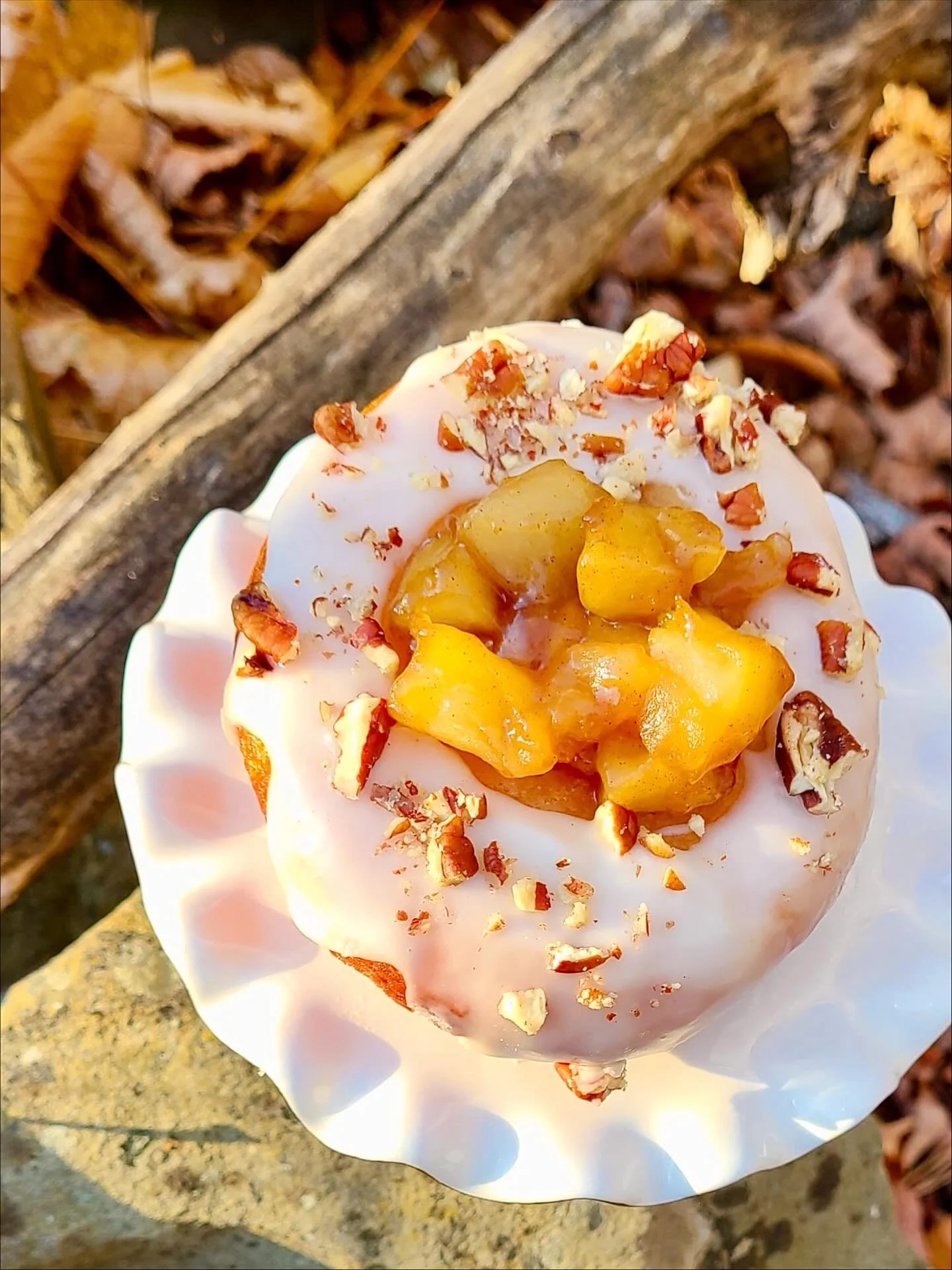 Our November menu is here! 🍩💜 

This Friday we&rsquo;ll be offering apple pecan, classic glazed (vegan), blueberry lemon (vegan), chocolate cream, and lemon meringue!

Each doughnut is a labor of love, handcrafted and fried in small batches. For th