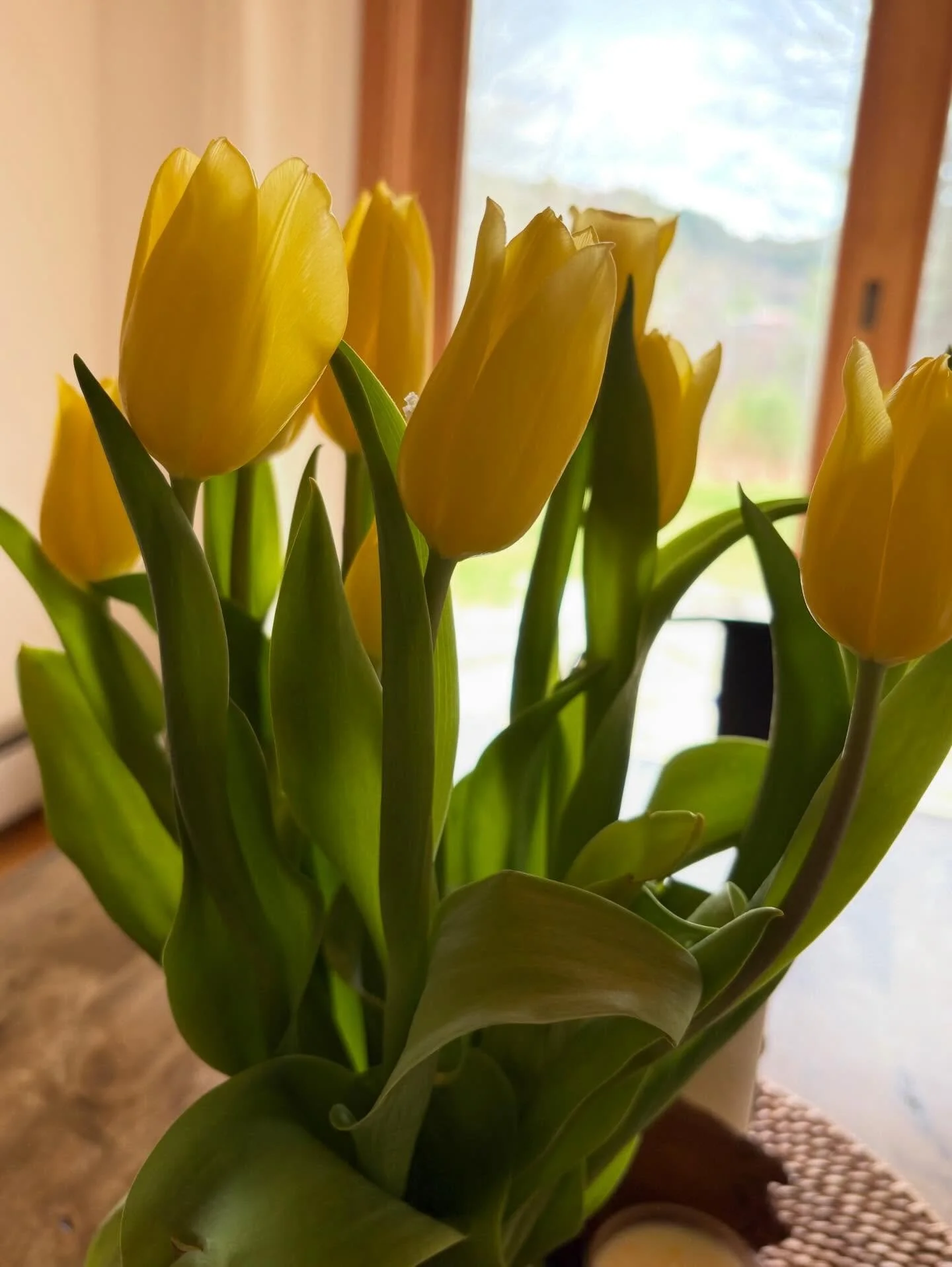 Spring is here and so is our new menu! 🌷 Find us at First Friday, May 1st from 5pm &lsquo;til sold out.

This Friday we&rsquo;ll have: Strawberry Shortcake, Maple Cream, Lemon Lavender (V), and Cinnamon Swirl (V) 

Available first come, first served