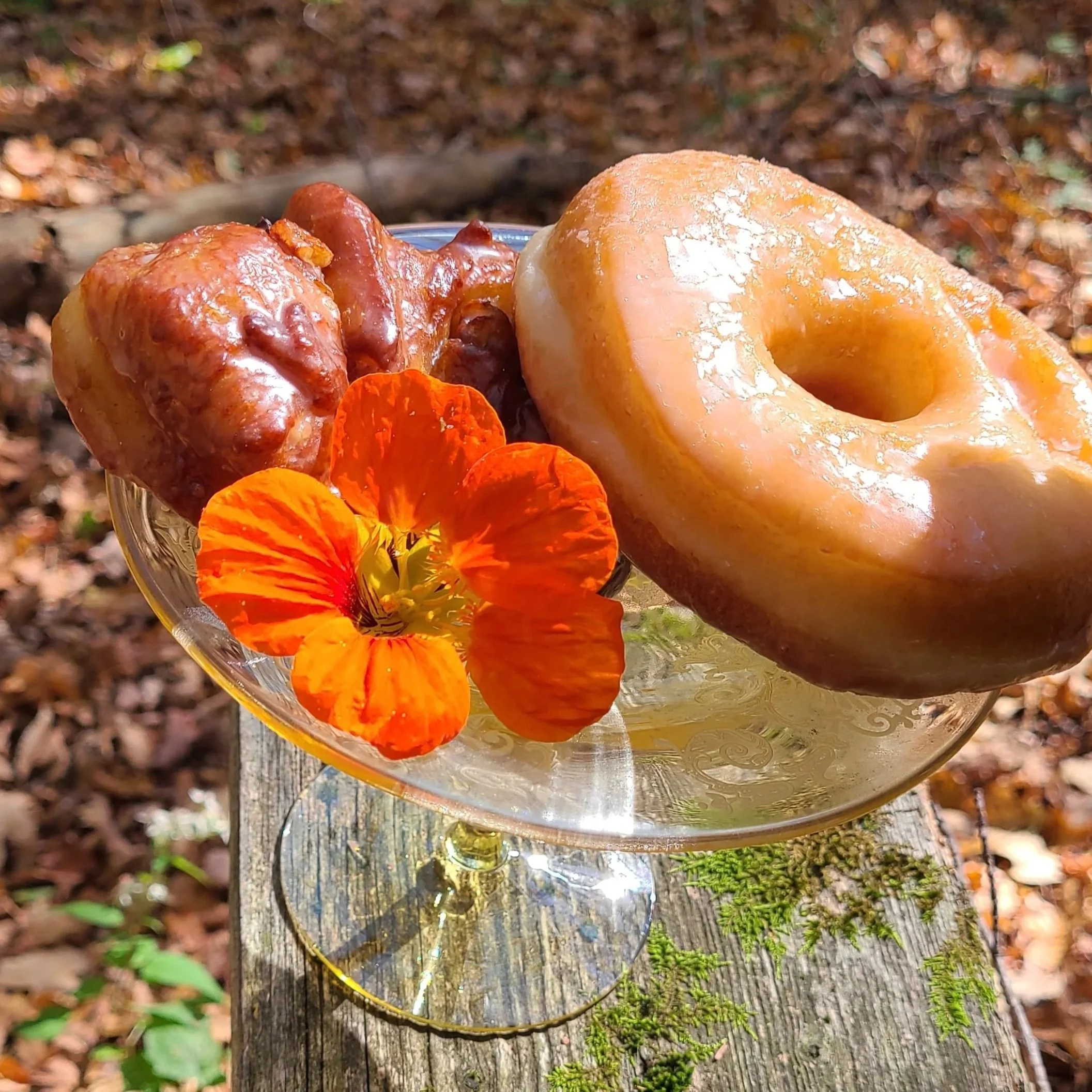 vegan+October+doughnuts.jpg