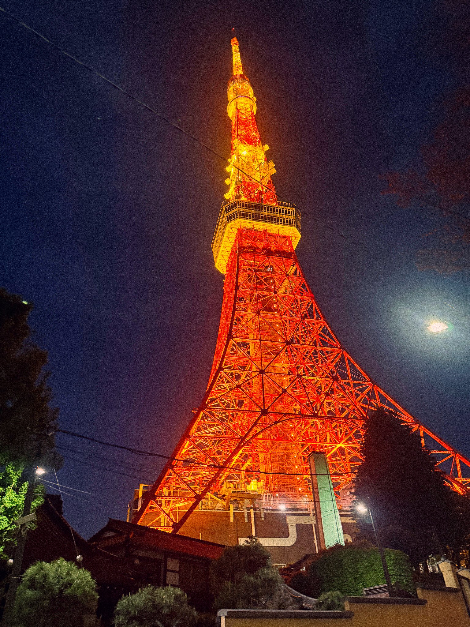 IMG_7233.jpg