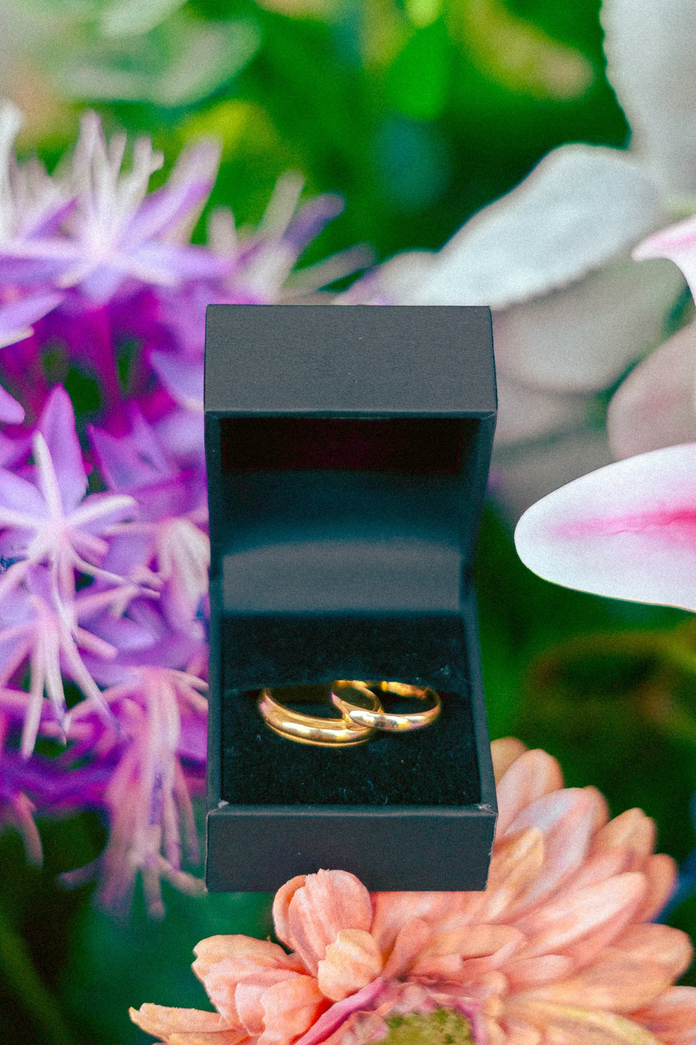 A gold ring inside a black jewelry box with a blurred background of purple and green flowers.