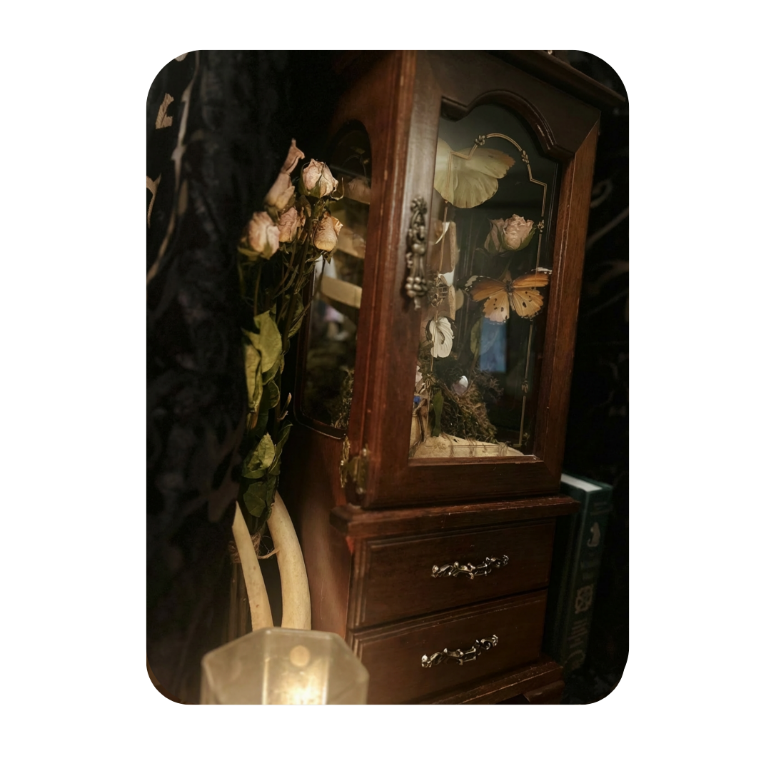 Untitled design (6).png