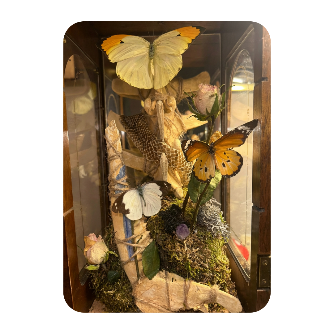 Untitled design (7).png