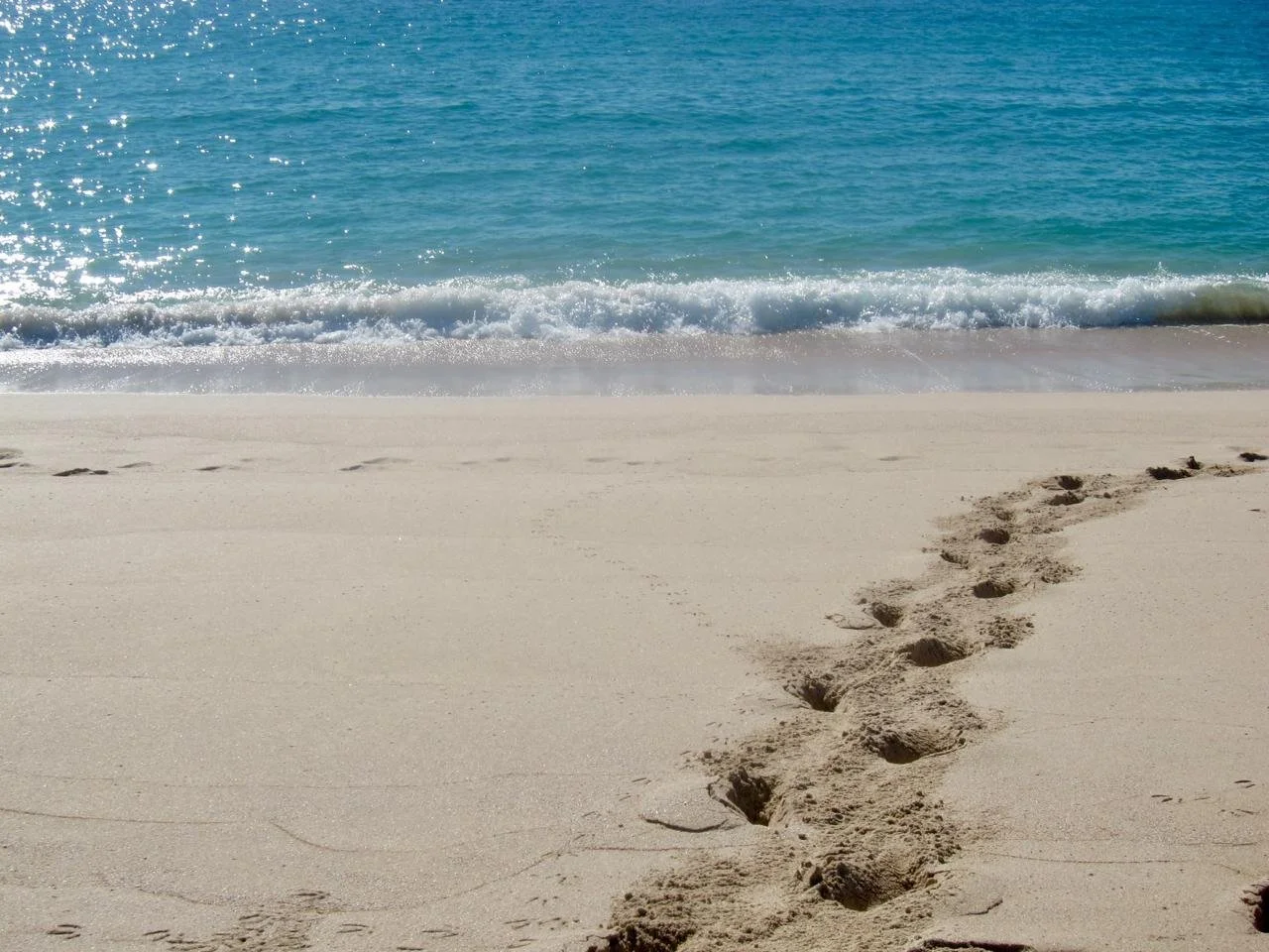Footprints in the sand leading to the ocean on a sunny beach.