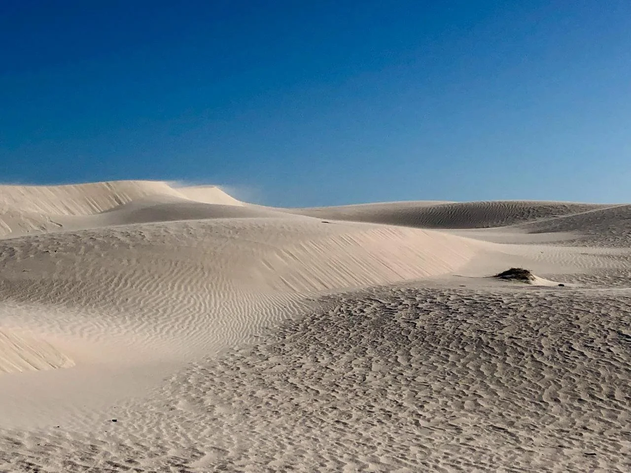 Sand dunes under a clear blue sky in a desert landscape