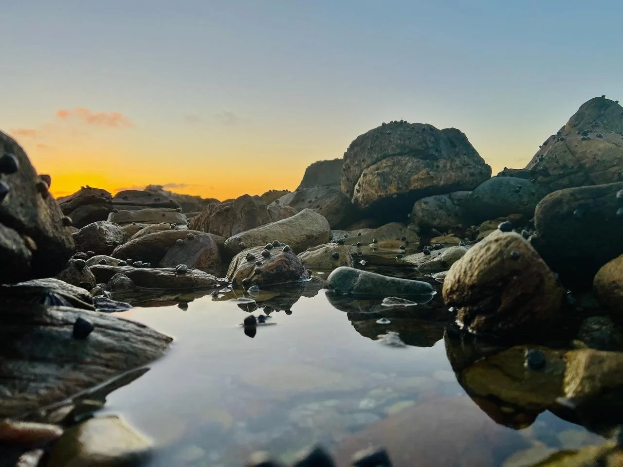 Rocks and pebbles on a shoreline with a small pool of water, during sunset or sunrise, with a clear sky.
