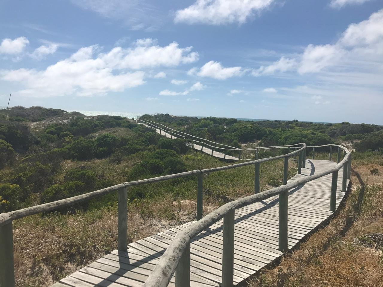 A winding wooden boardwalk with handrails crossing over sandy dunes and green shrubbery under a partly cloudy blue sky.