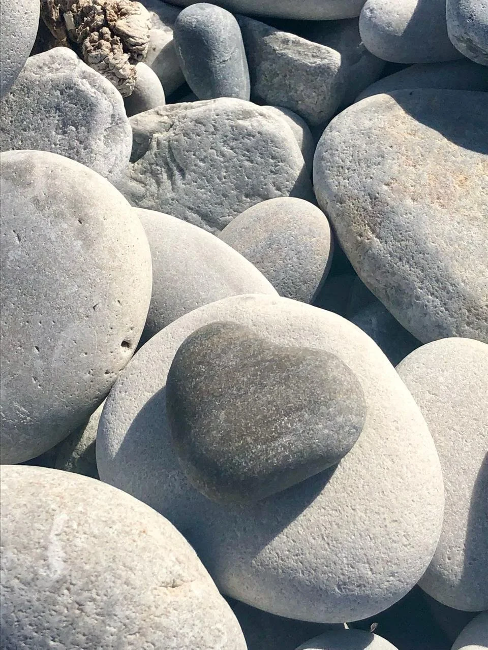Close-up of various smooth, round stones on a beach, with one dark stone on top of a larger white stone.