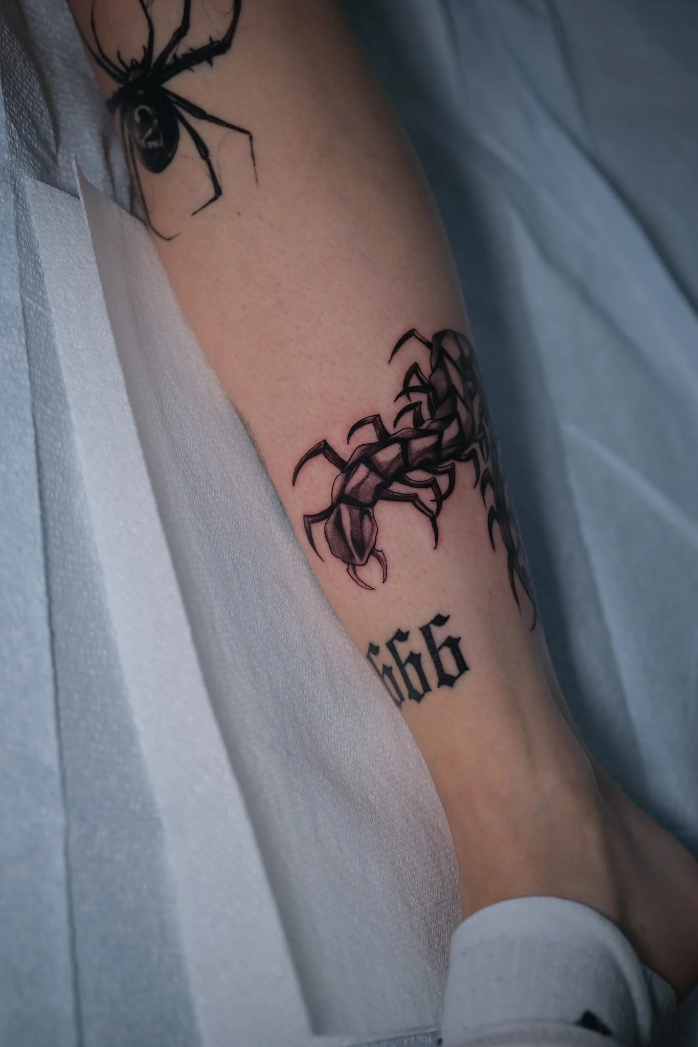 Copia de DSCF5933.jpg