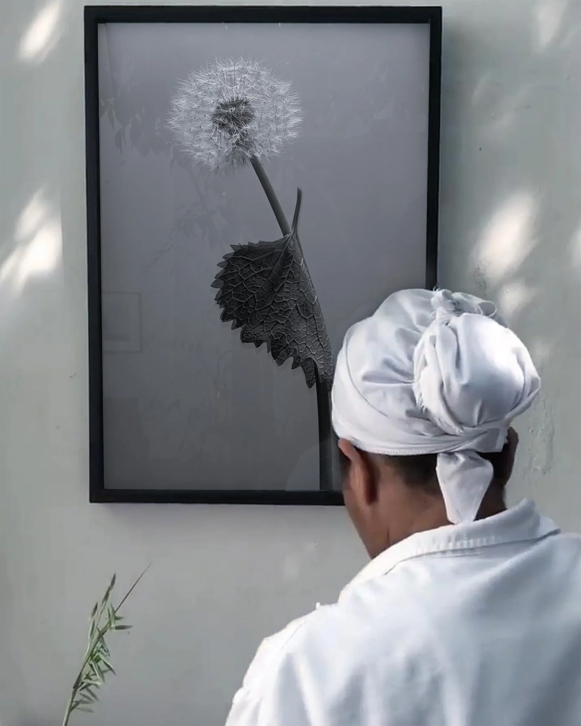 A chef wearing a white headscarf and jacket looks at a framed black and white photograph of a dandelion with a leaf at its base.