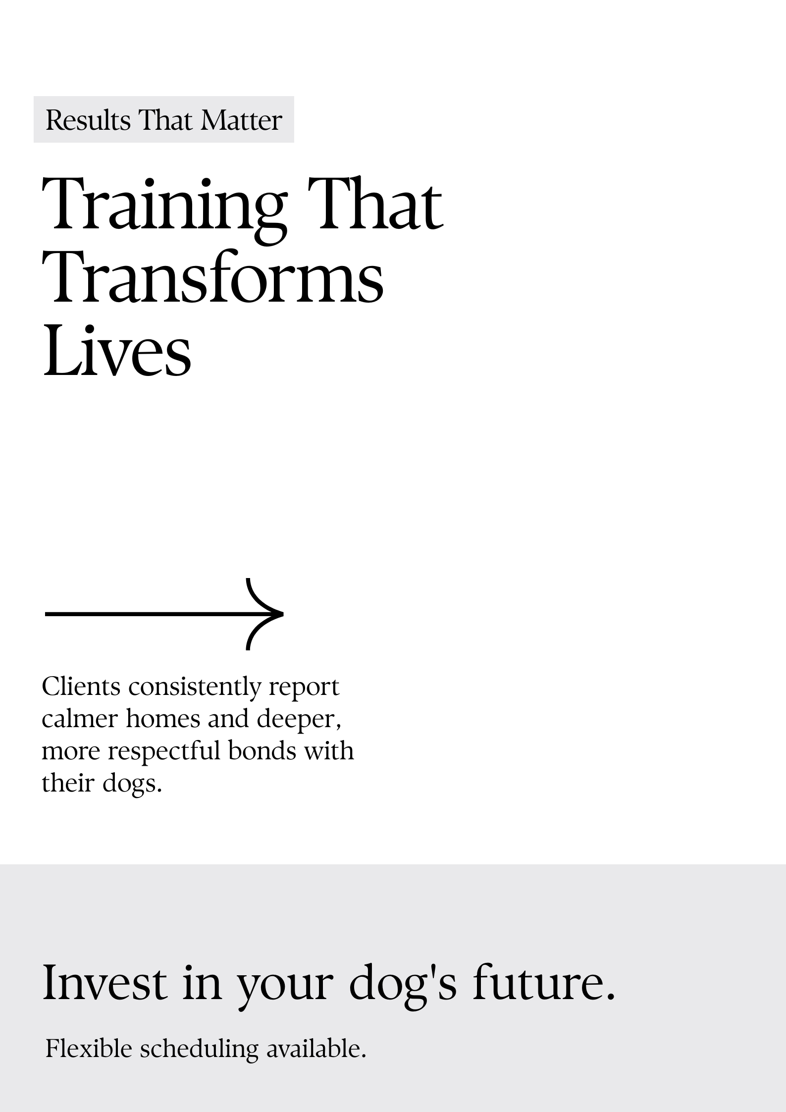 A promotional flyer for a training program that transforms lives by improving dog behavior and owner bonds. The flyer has a clean, modern design with bold black text on a white background, and includes a small section with additional info about scheduling.