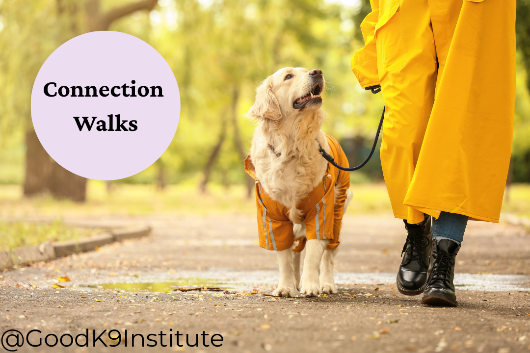 Connection Walks