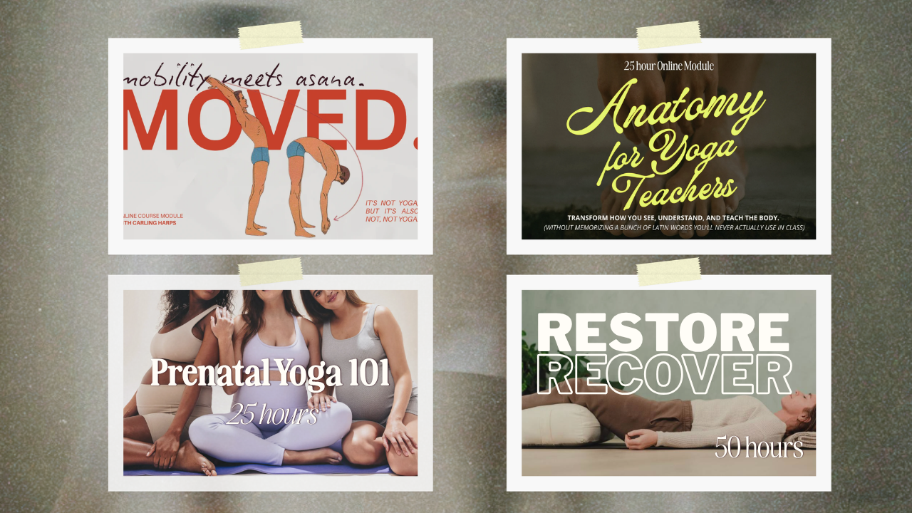 150 hour Online Learning Bundle