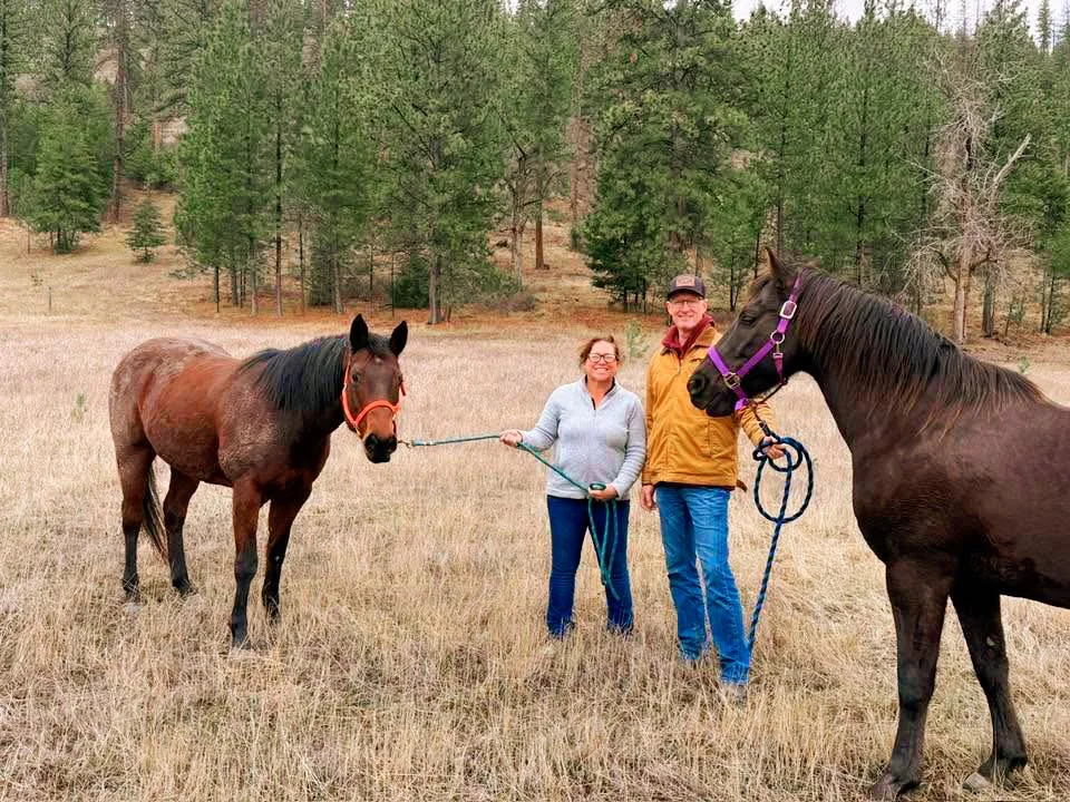 Two people, a woman and a man, standing in a field with two horses, holding their leashes. The woman is wearing glasses, a light gray sweater, and blue jeans. The man is wearing glasses, a tan jacket, and a baseball cap. The horses are saddled with colorful halters, one red and one purple. Behind them is a forested area with tall trees.
