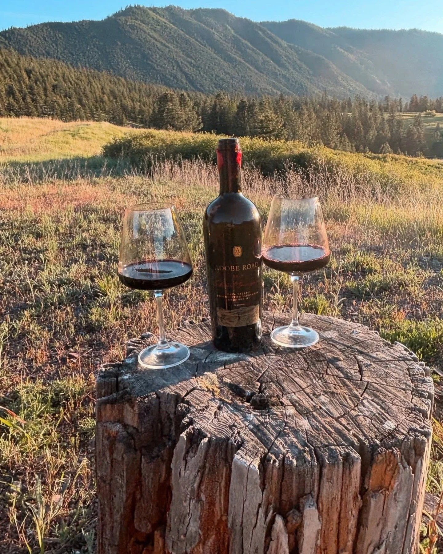 A bottle of red wine and two glasses filled with wine sit on a weathered tree stump in a grassy field, with mountains and a clear blue sky in the background.