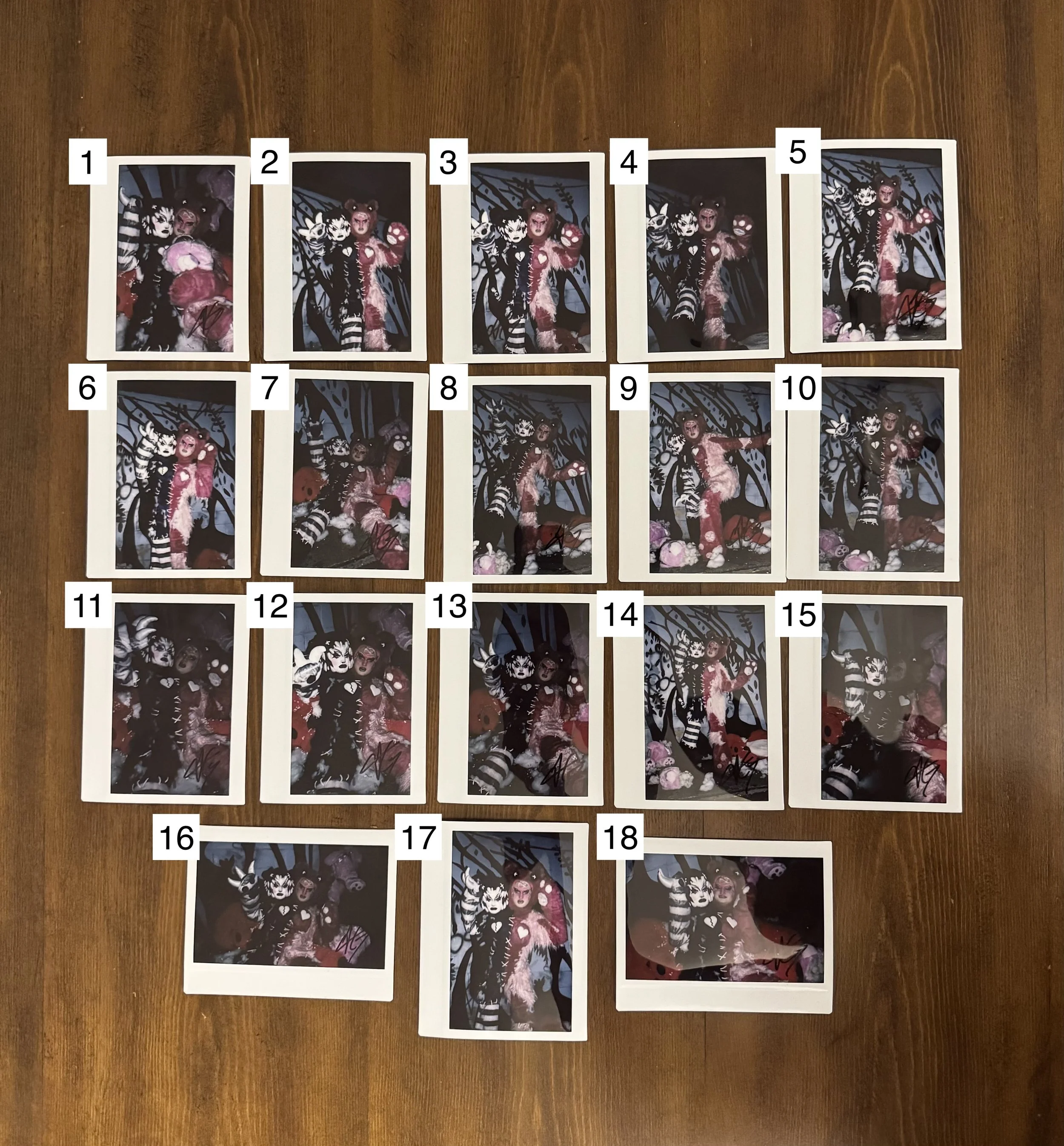 Signed In The Shadows Polaroid