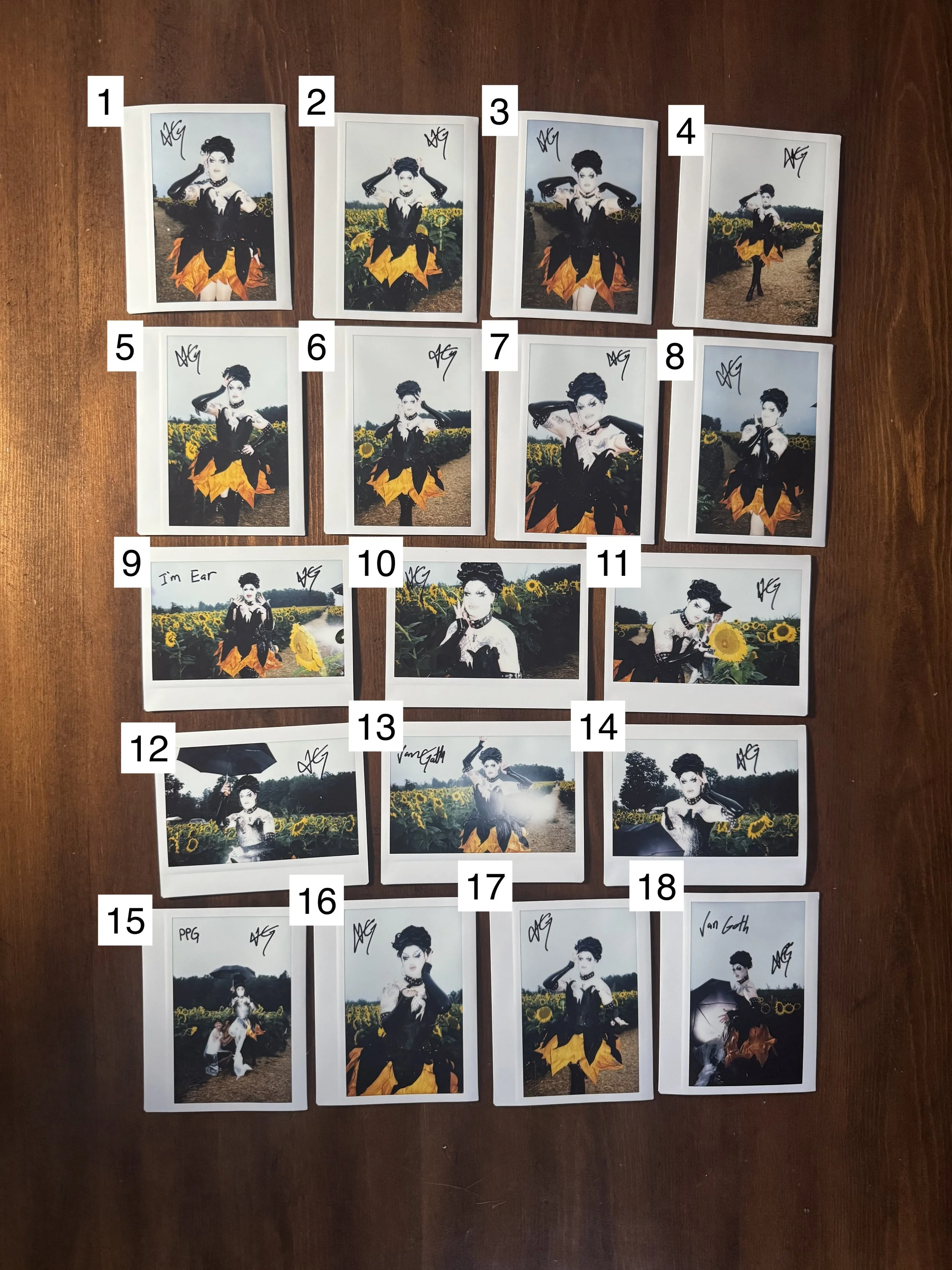 Signed Entrance Polaroid