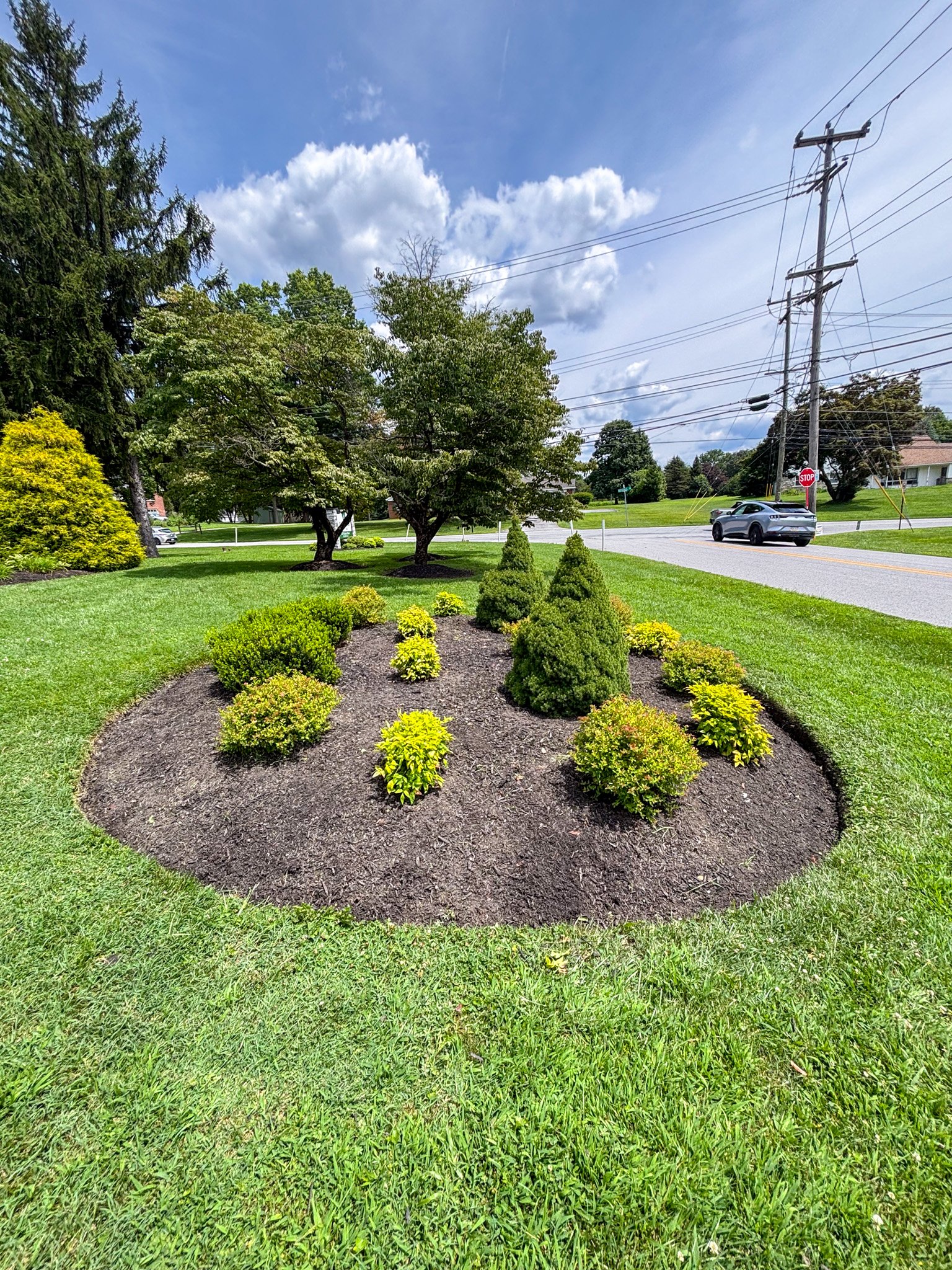 A landscaped area with small bushes and trees in a grassy front yard, next to a road with a car passing by and power lines overhead, under a partly cloudy sky.