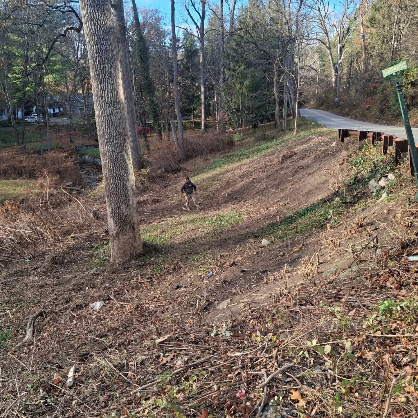 Wrapped up a large brush clearing job! Privacy plantings will follow soon.