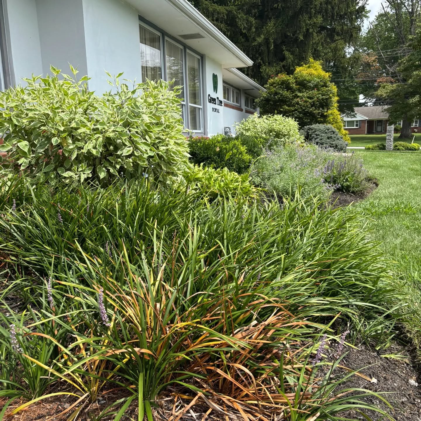 Maintenance at our favorite Dentist office!
484-319-2003