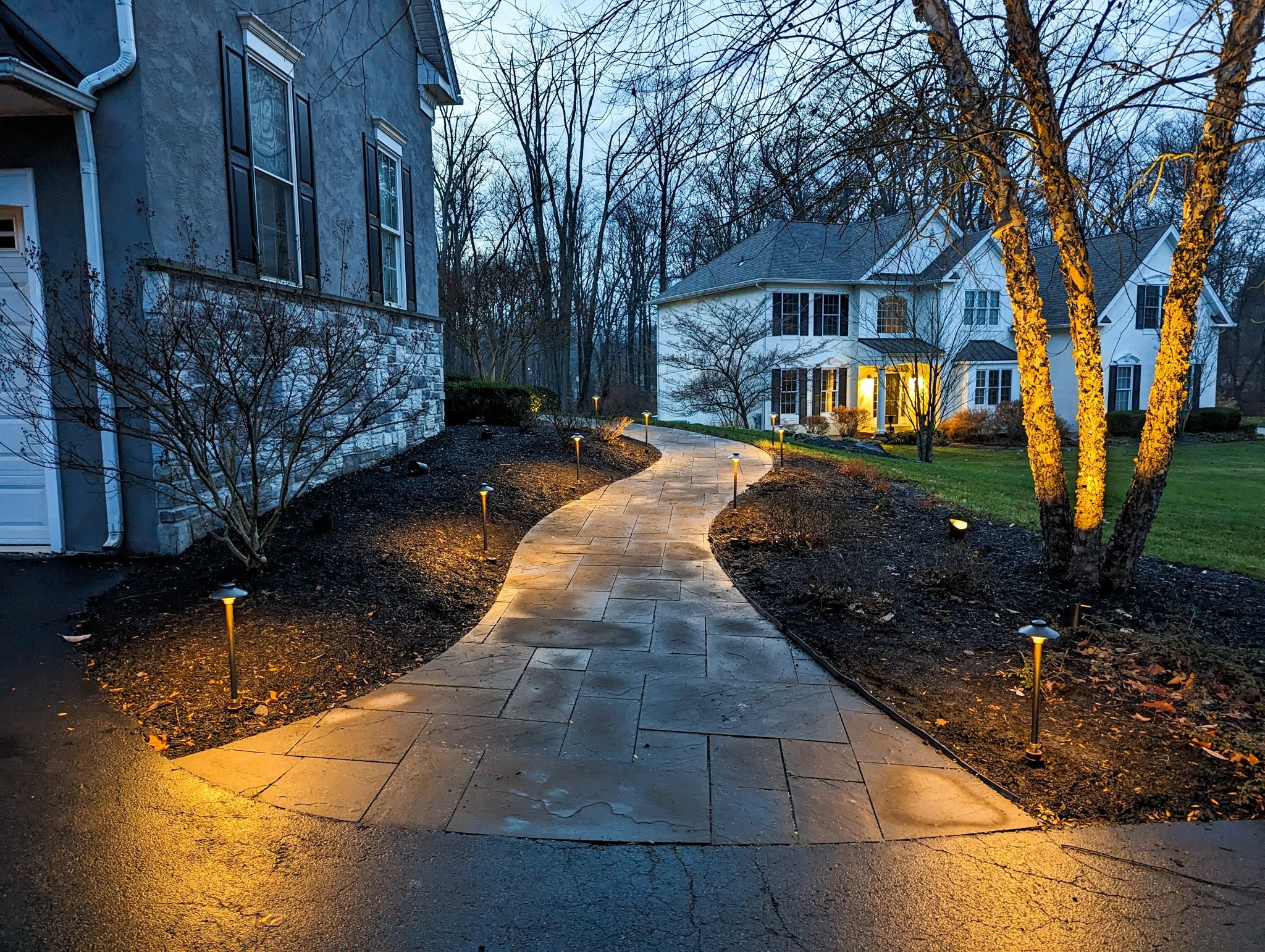 A winding stone pathway illuminated by small ground lights leads from a driveway to a white two-story house with large windows, surrounded by leafless trees and manicured shrubs during dusk or early evening.