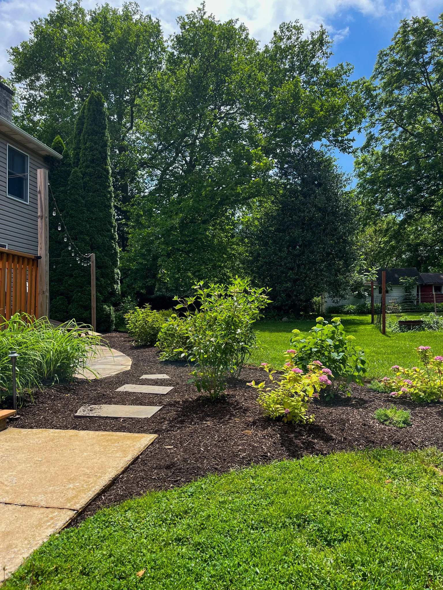 A backyard garden with a stone pathway leading to a grassy lawn, surrounded by various shrubs and trees, with a house on the left and a blue sky overhead.