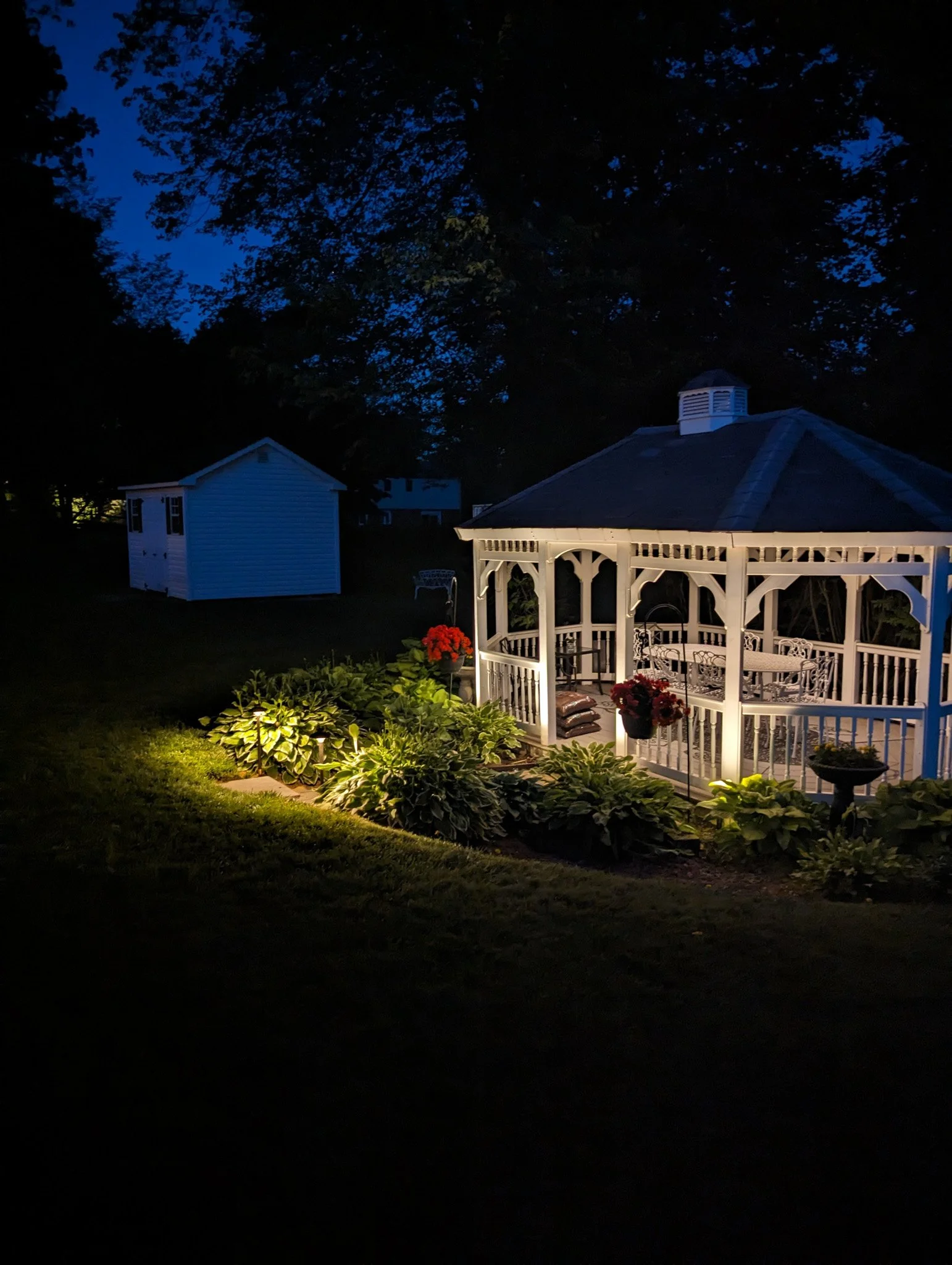 A white gazebo with decorative wooden trim, illuminated at night, with potted flowers and surrounding lush green plants, in a backyard with a shed and trees in the background.