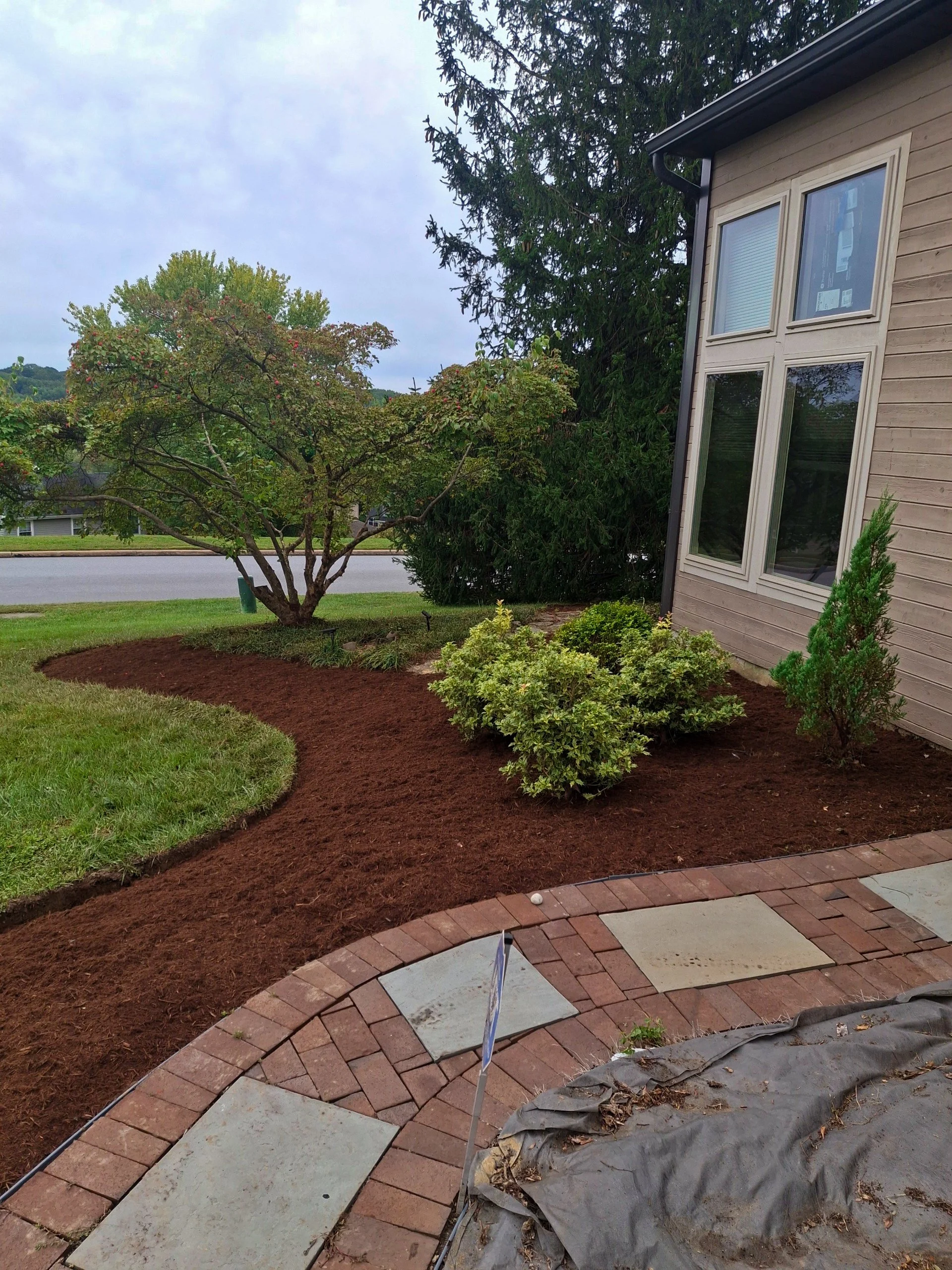 A landscaped front yard with a brick pathway, a small bush, a larger deciduous tree, and a small conifer alongside a house with large window panes. Mulch is freshly laid around the plants.