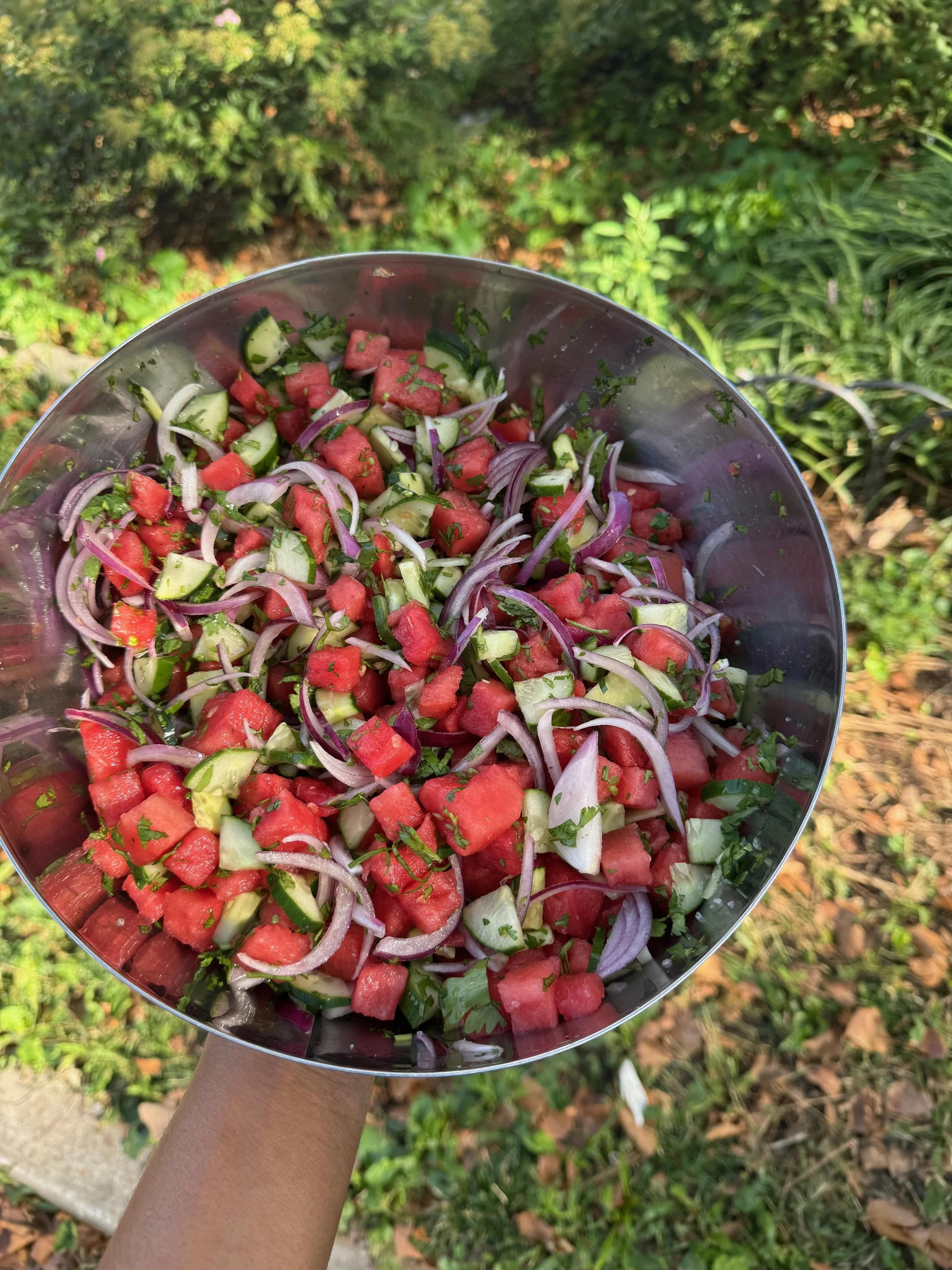 Close-up of a metal bowl filled with a freshly made salad containing chopped watermelon, cucumber, red onion, and sprinkled with chopped herbs, held outdoors with greenery in the background.