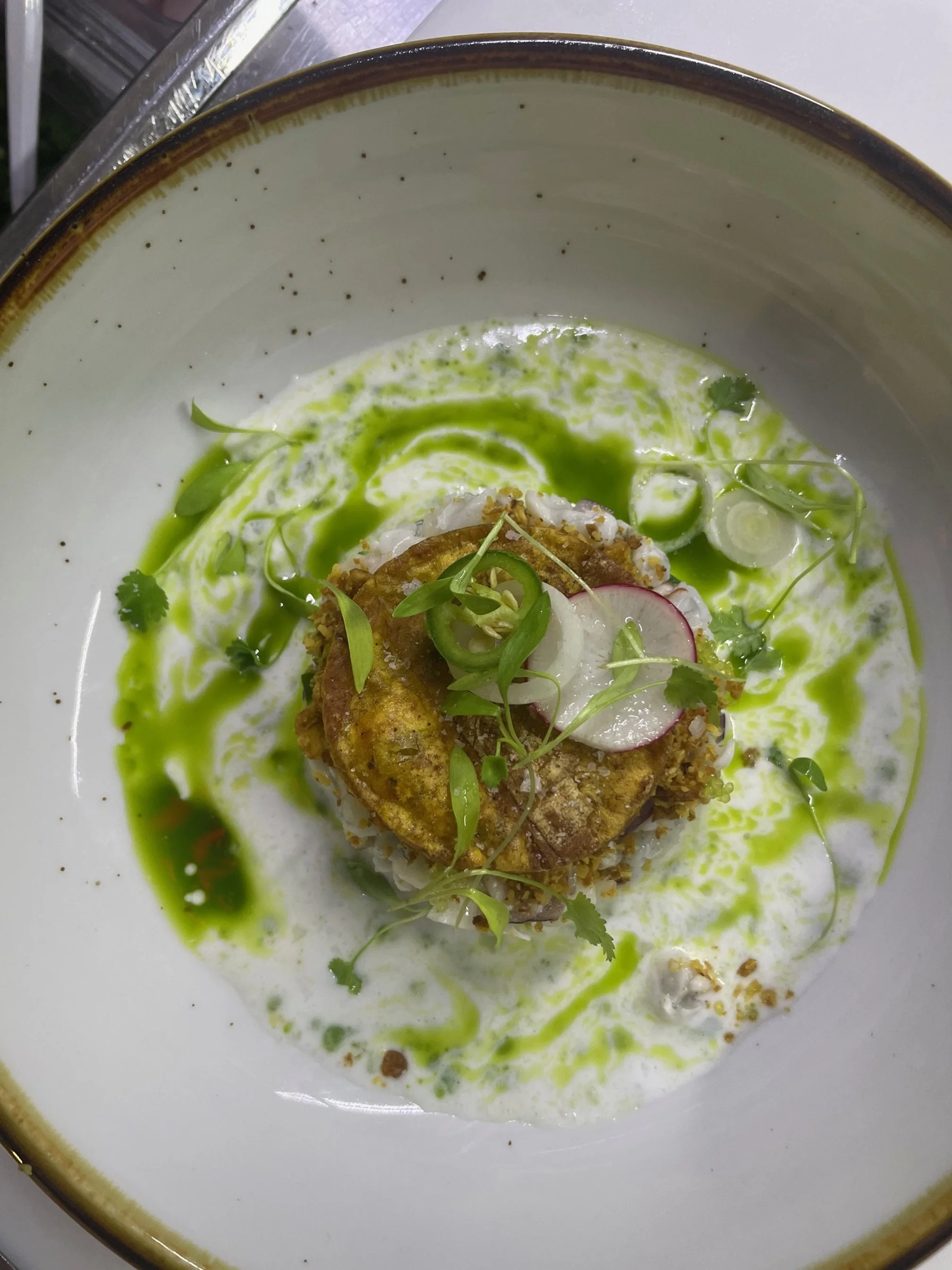 A plated dish with a breaded piece of fried fish garnished with sliced radishes, microgreens, and green sauce, served on a white ceramic plate with brown rim.