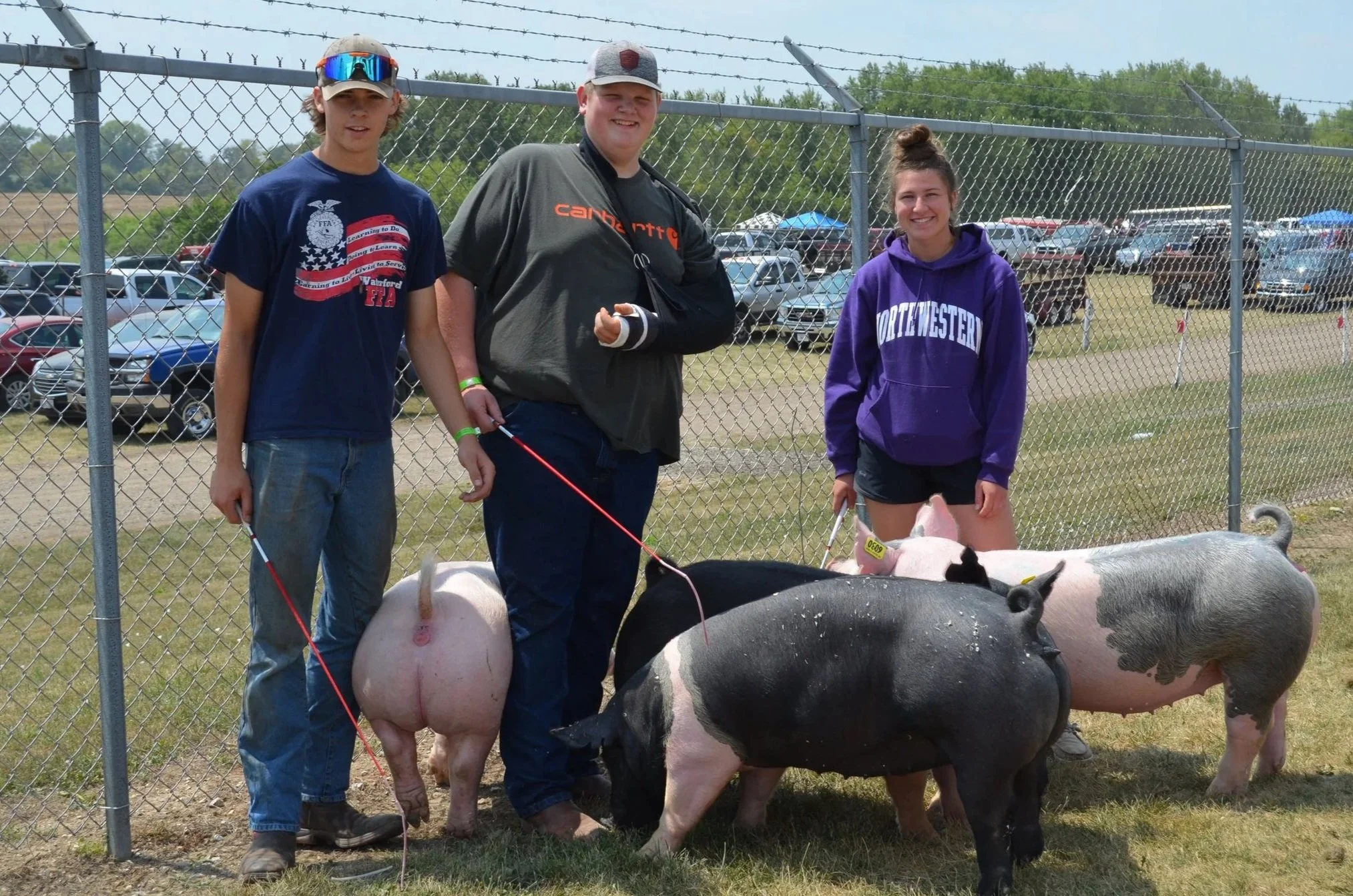 Three young people standing behind a fence with pigs at an outdoor fair, with parking lot and cars in the background.