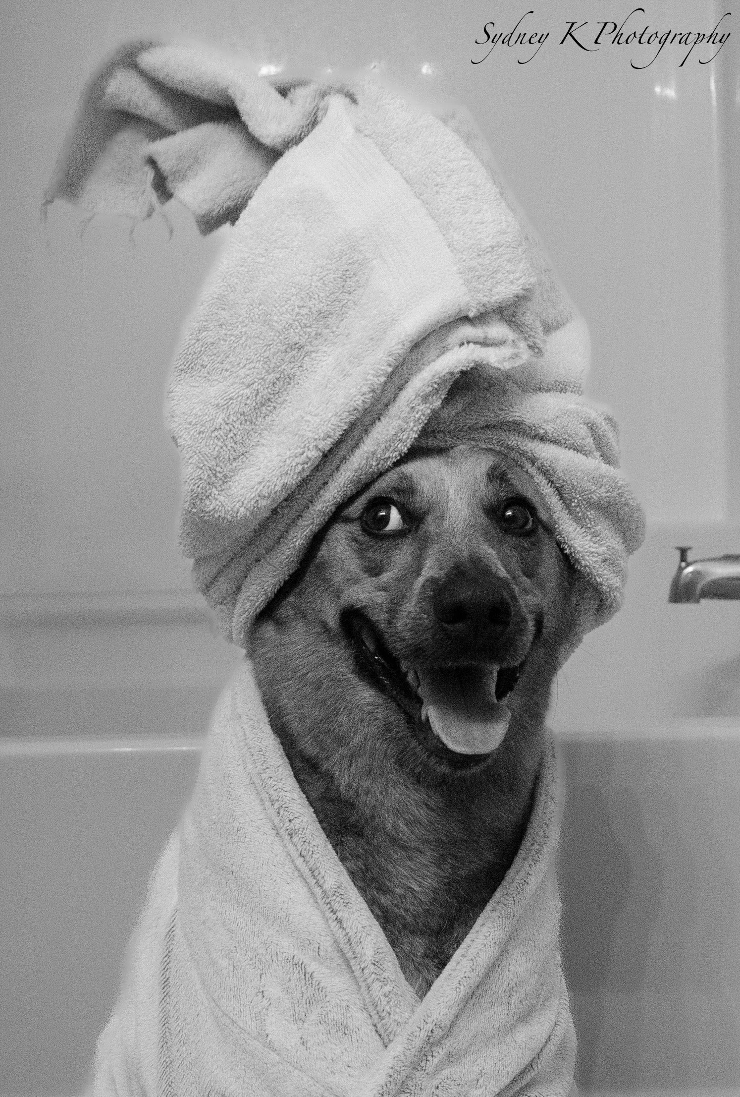 Puppy Bath Shoot